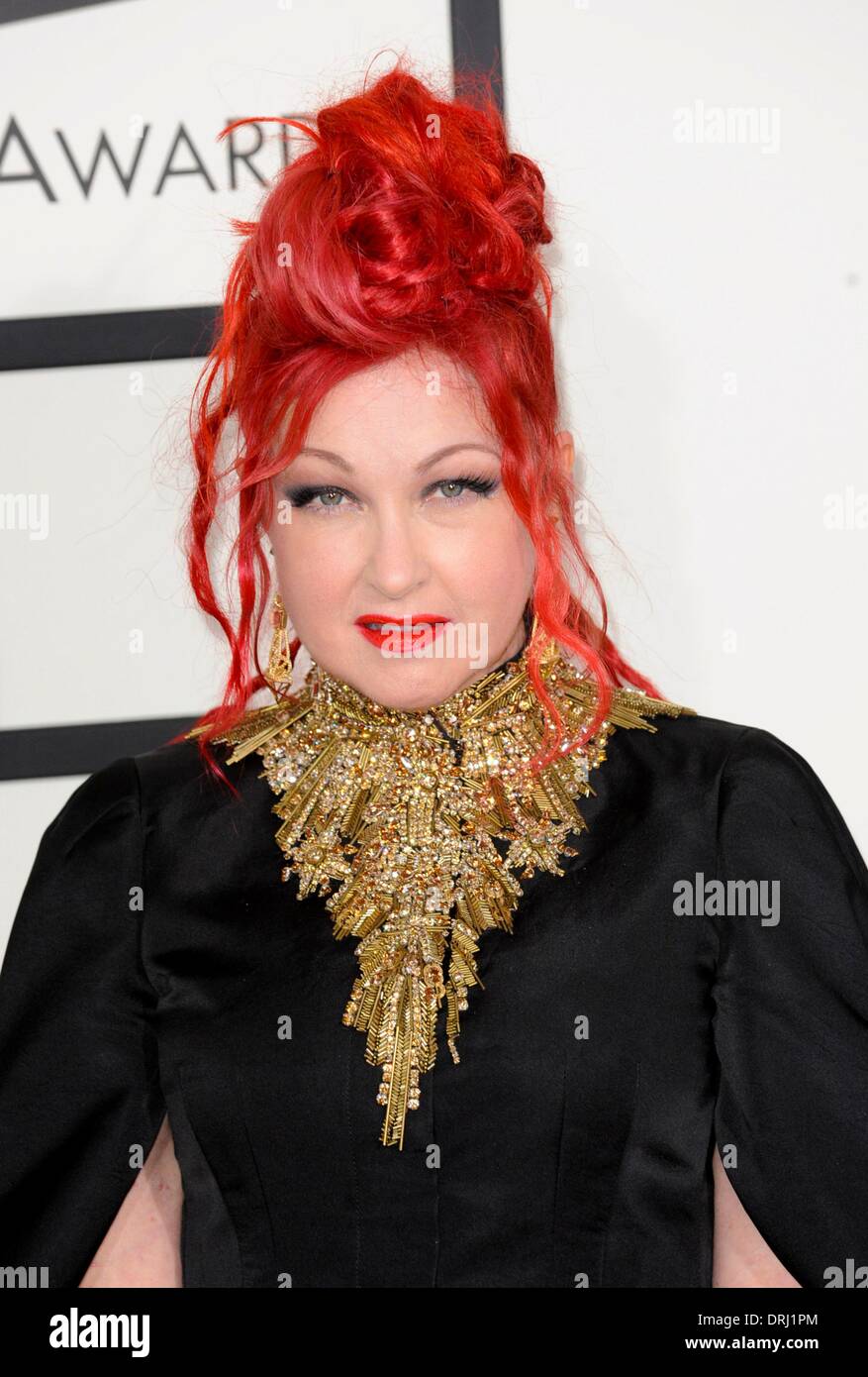 Los Angeles, CA, Stati Uniti d'America. 26 gen 2014. Cyndi Lauper presso gli arrivi per la 56th Annual Grammy Awards - arrivi, STAPLES Center di Los Angeles, CA 26 gennaio 2014. Credito: Charlie Williams/Everett raccolta/Alamy Live News Foto Stock