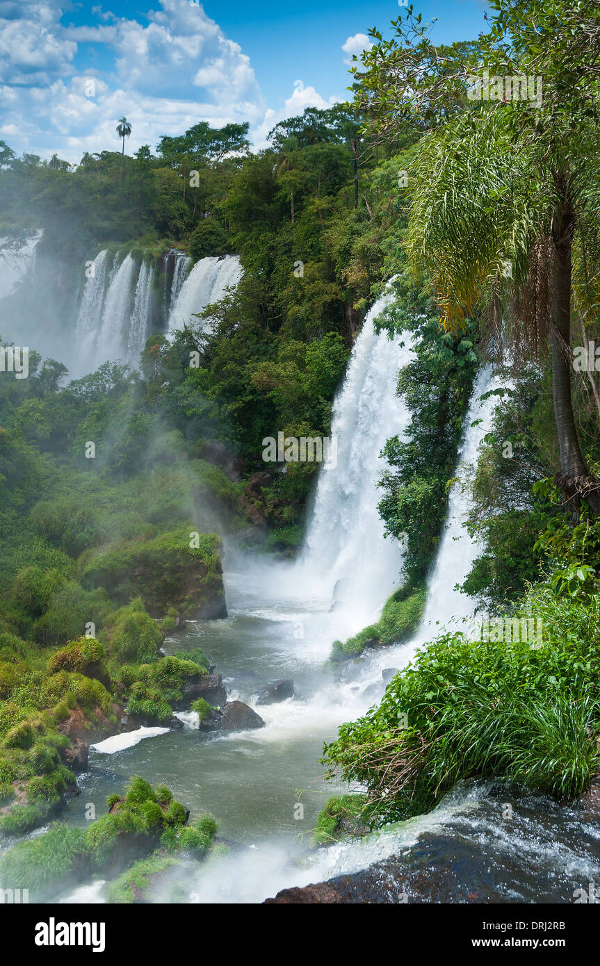Iguassu cascate al confine con Argentina Brasile Foto Stock
