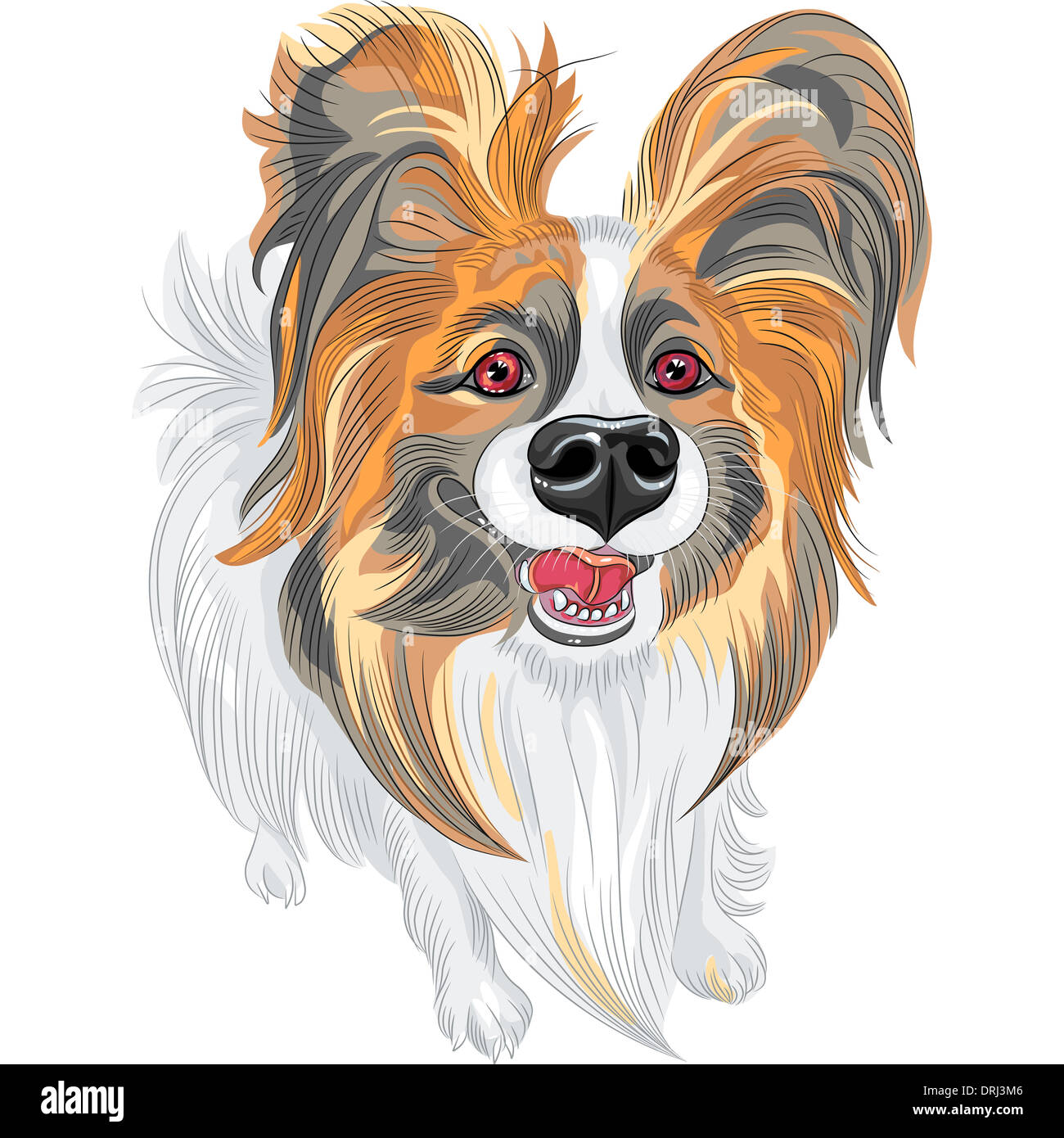 Carino sorridente Papillon rosso e cane nero con lunghi Shaggy orecchie Foto Stock