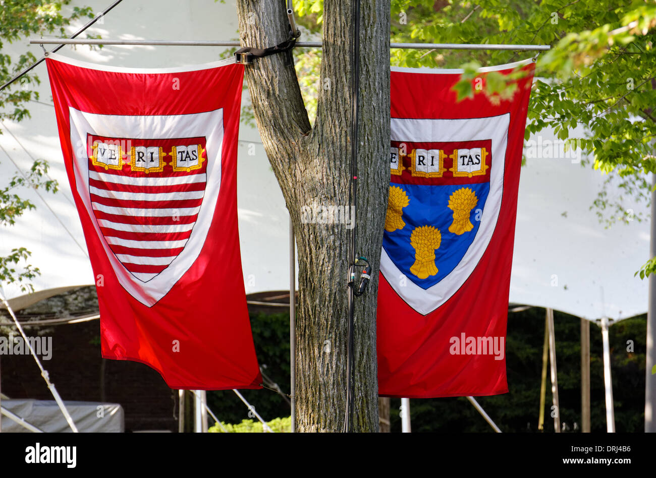 Le bandiere della Harvard Kennedy School e la Scuola di Diritto di Harvard come il cantiere è preparato per cerimonie di inizio in Cambridge, MA. Foto Stock