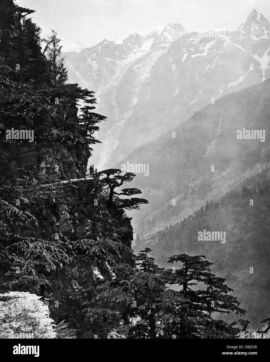 Una nuova strada a Rogi, vicino Chini, Himalaya, India Foto Stock