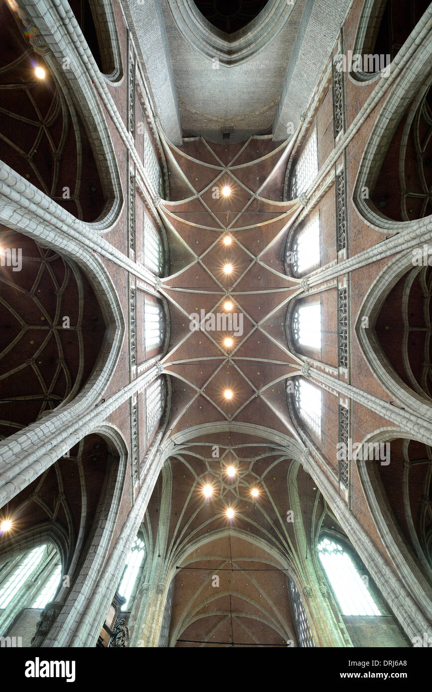 Interno coperchio fotografia archivio netto nella nave principale, Roman-Catholic cattedrale di San Bavone (in olandese Sint-Baafskathedraal) Gand, Fla Foto Stock