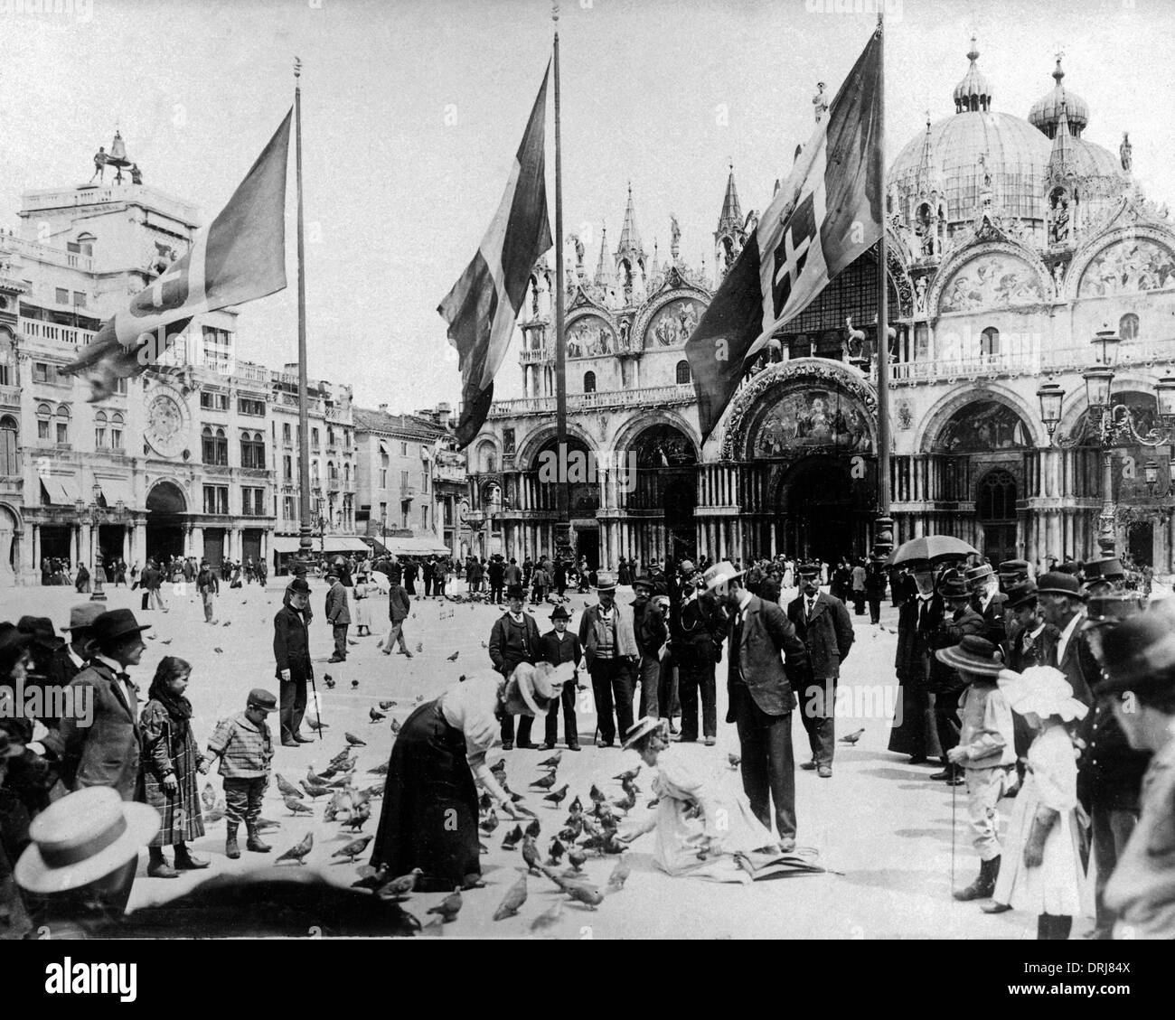 Alimentazione di piccioni, Piazza San Marco, Venezia, Italia Foto Stock