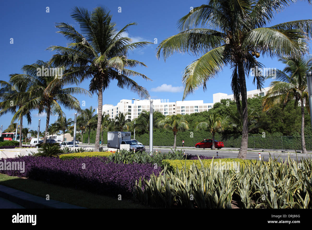 Palme fodera Kukulkan Boulevard in Cancun Quintana Roo, Messico Foto Stock