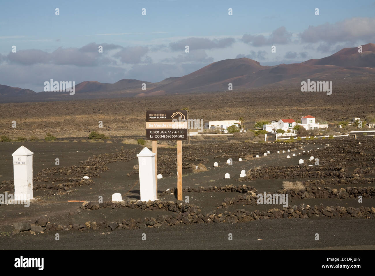 La Geria Lanzarote Casa con annessi in vendita circondata da vigneti piantati in nero di ceneri vulcaniche Foto Stock