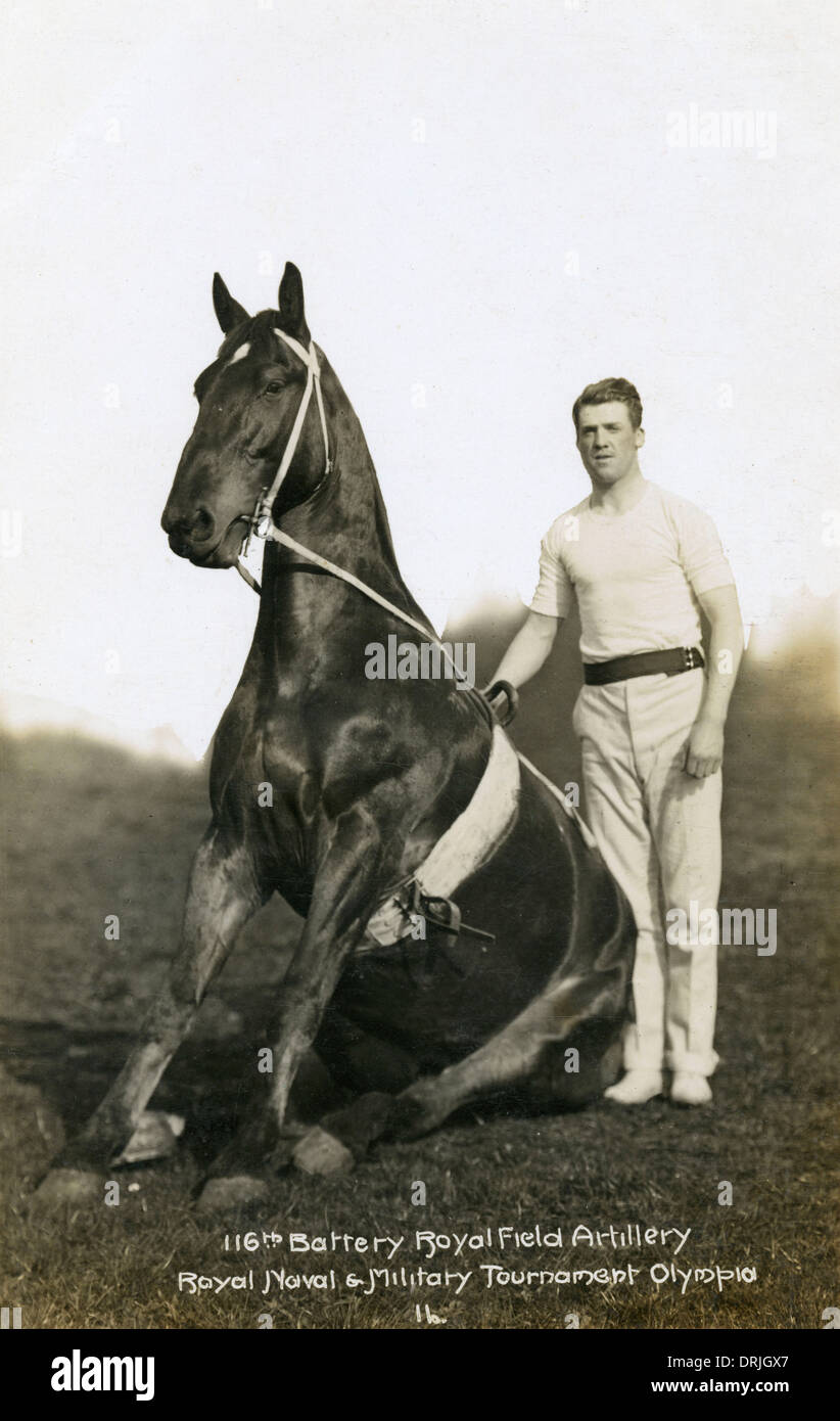 Cavallo & soldato del 116Batteria - Royal Artillery campo Foto Stock