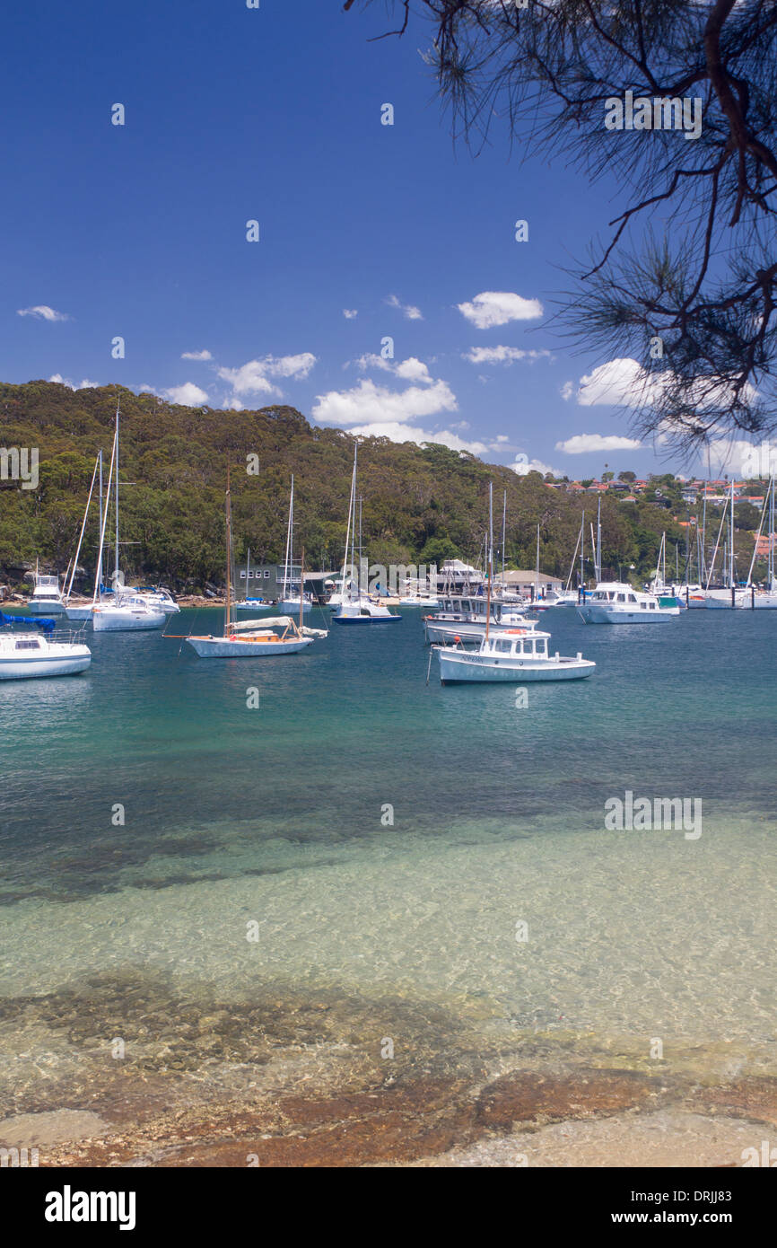 Barche nel porto nord Fairlight Manly Sydney New South Wales NSW Australia Foto Stock
