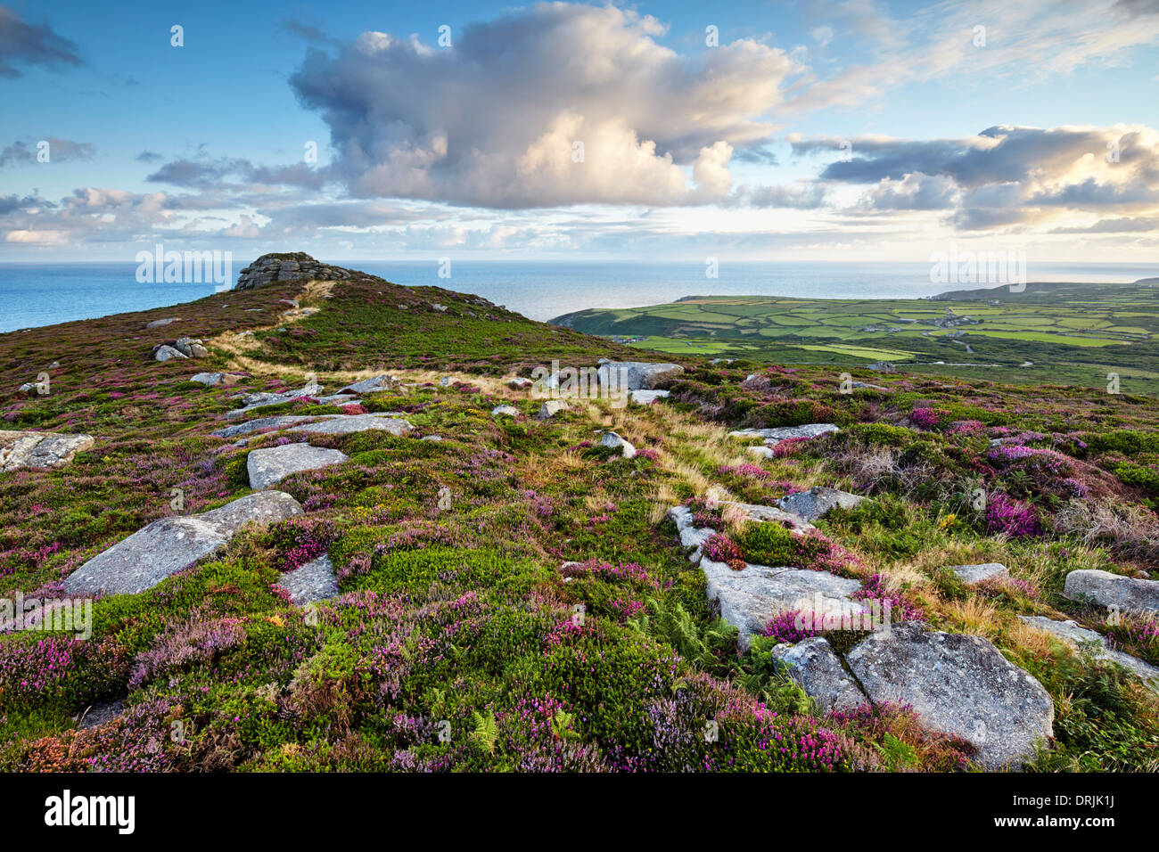 Cornish moorland, West Cornwall Foto Stock