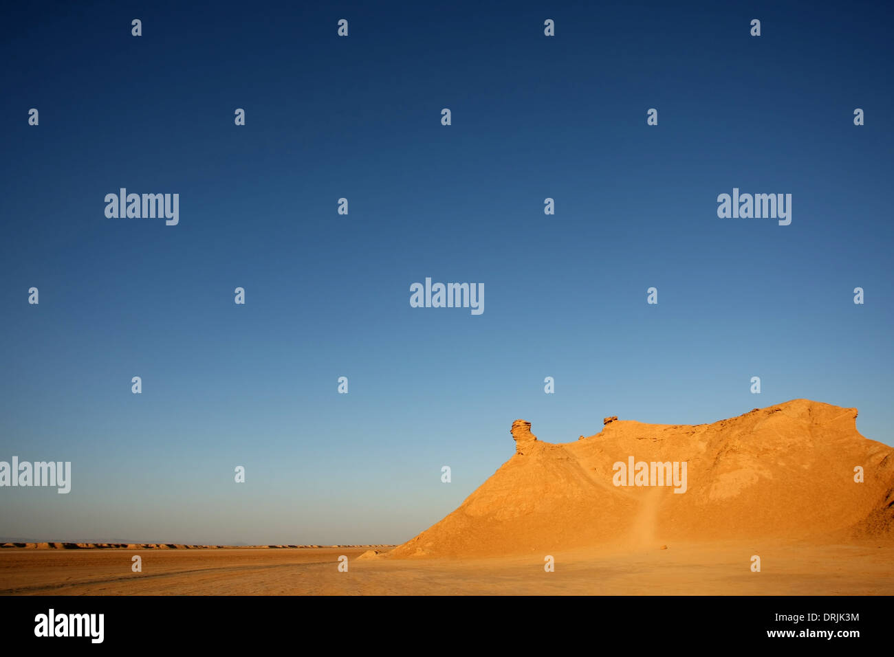 Testa di Camel rock, una delle attrazioni turistiche in Ong Jemel, Tozeur,Tunisia. Foto Stock