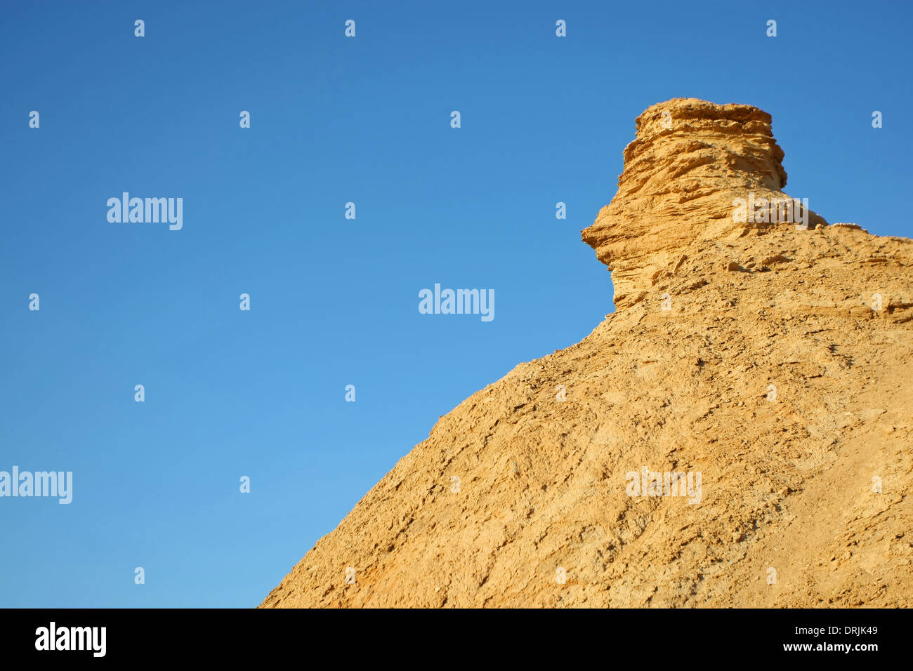 Testa di Camel rock, una delle attrazioni turistiche in Ong Jemel, Tozeur,Tunisia. Foto Stock