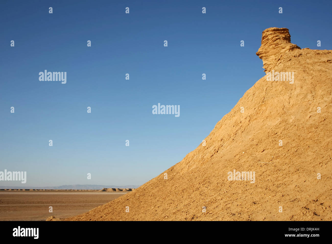 Testa di Camel rock, una delle attrazioni turistiche in Ong Jemel, Tozeur,Tunisia. Foto Stock