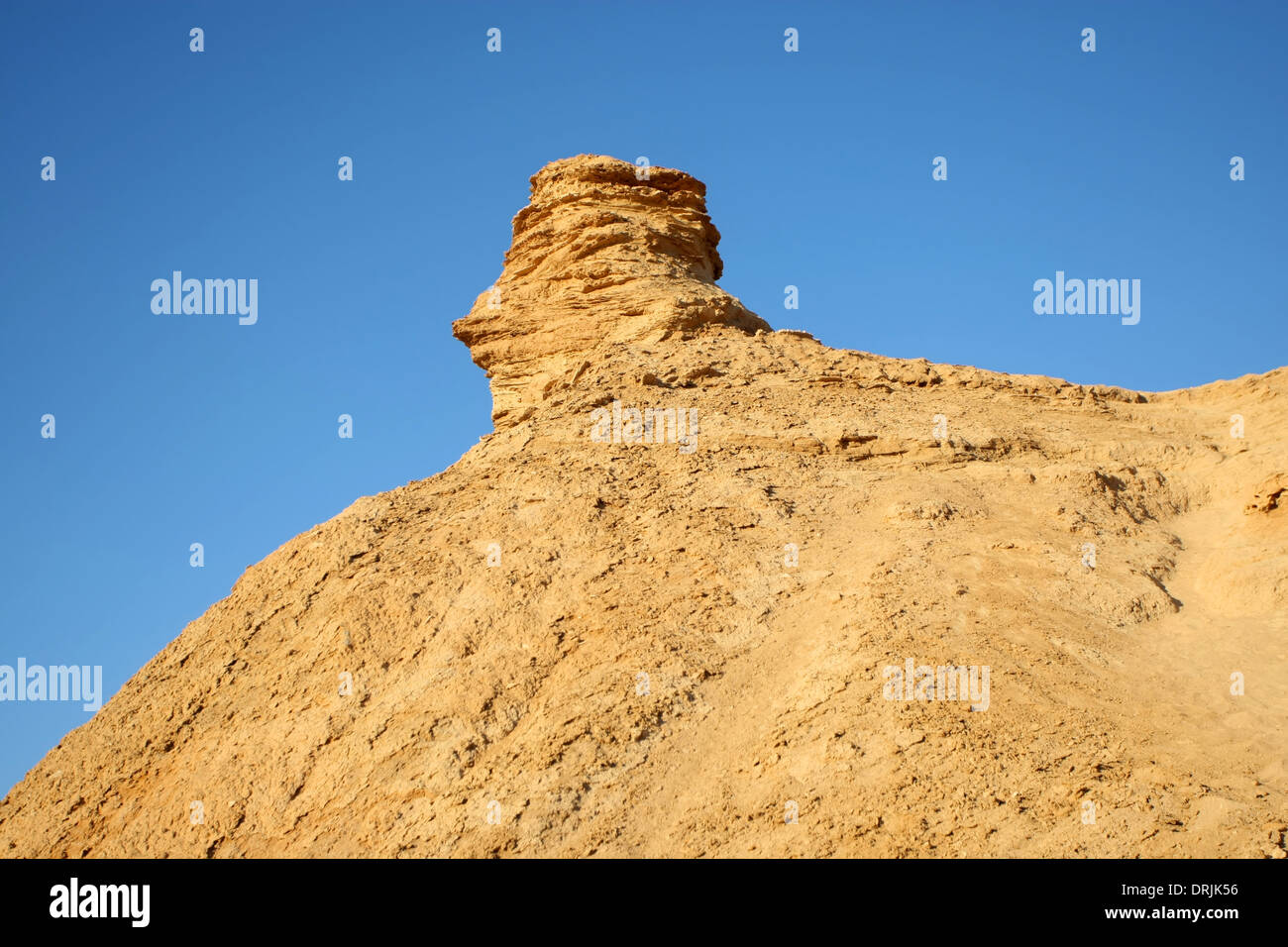 Testa di Camel rock, una delle attrazioni turistiche in Ong Jemel, Tozeur,Tunisia. Foto Stock