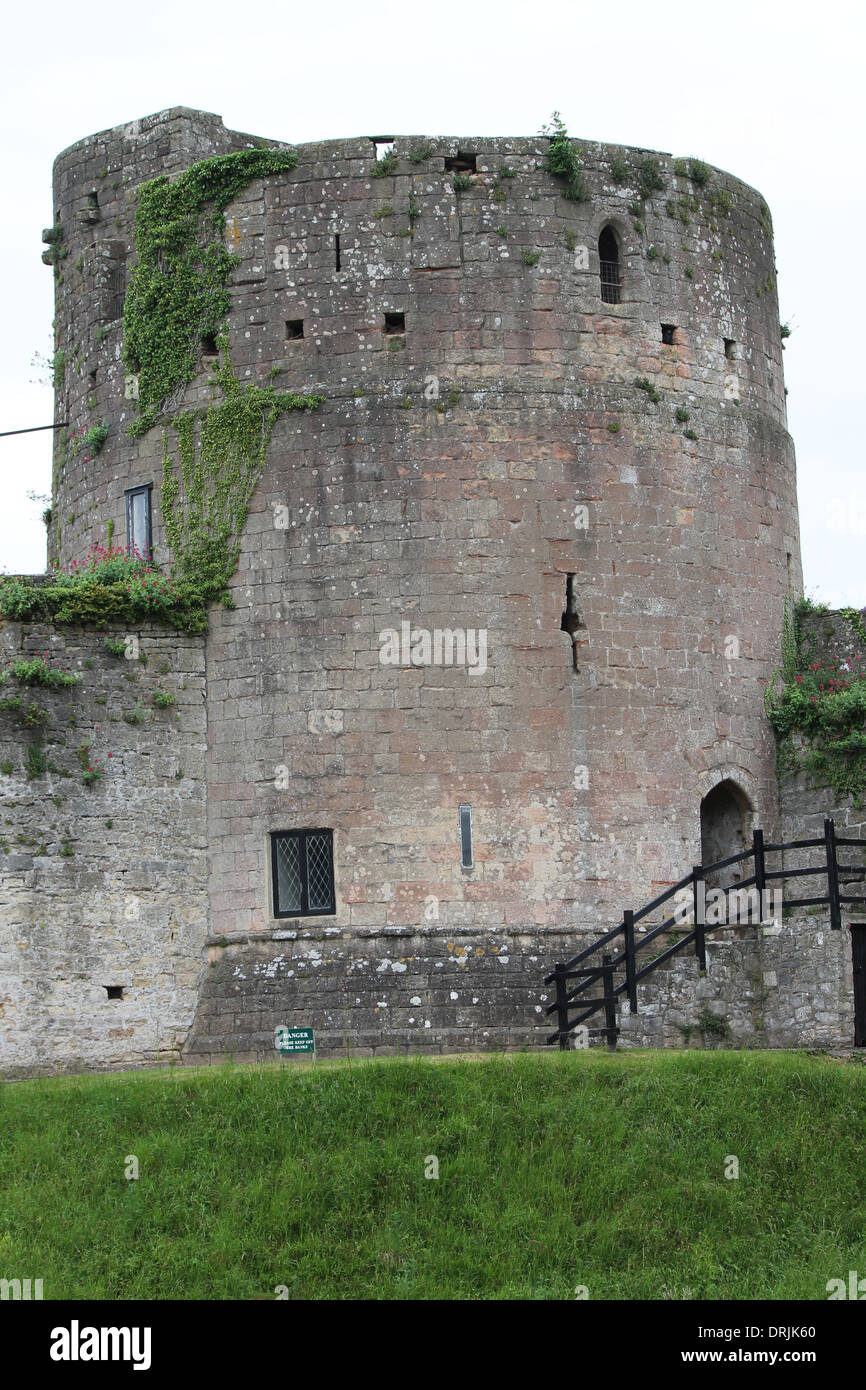 Muro di Castello, finestre ad arco, erba banking Foto Stock
