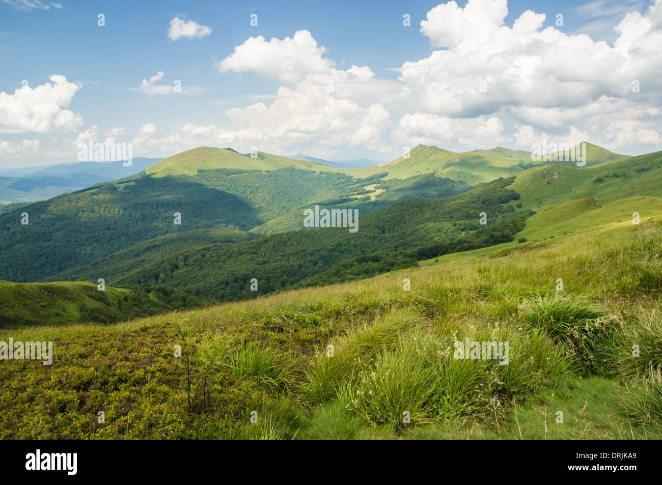 Valle Verde in monti Bieszczady Polonia Foto Stock