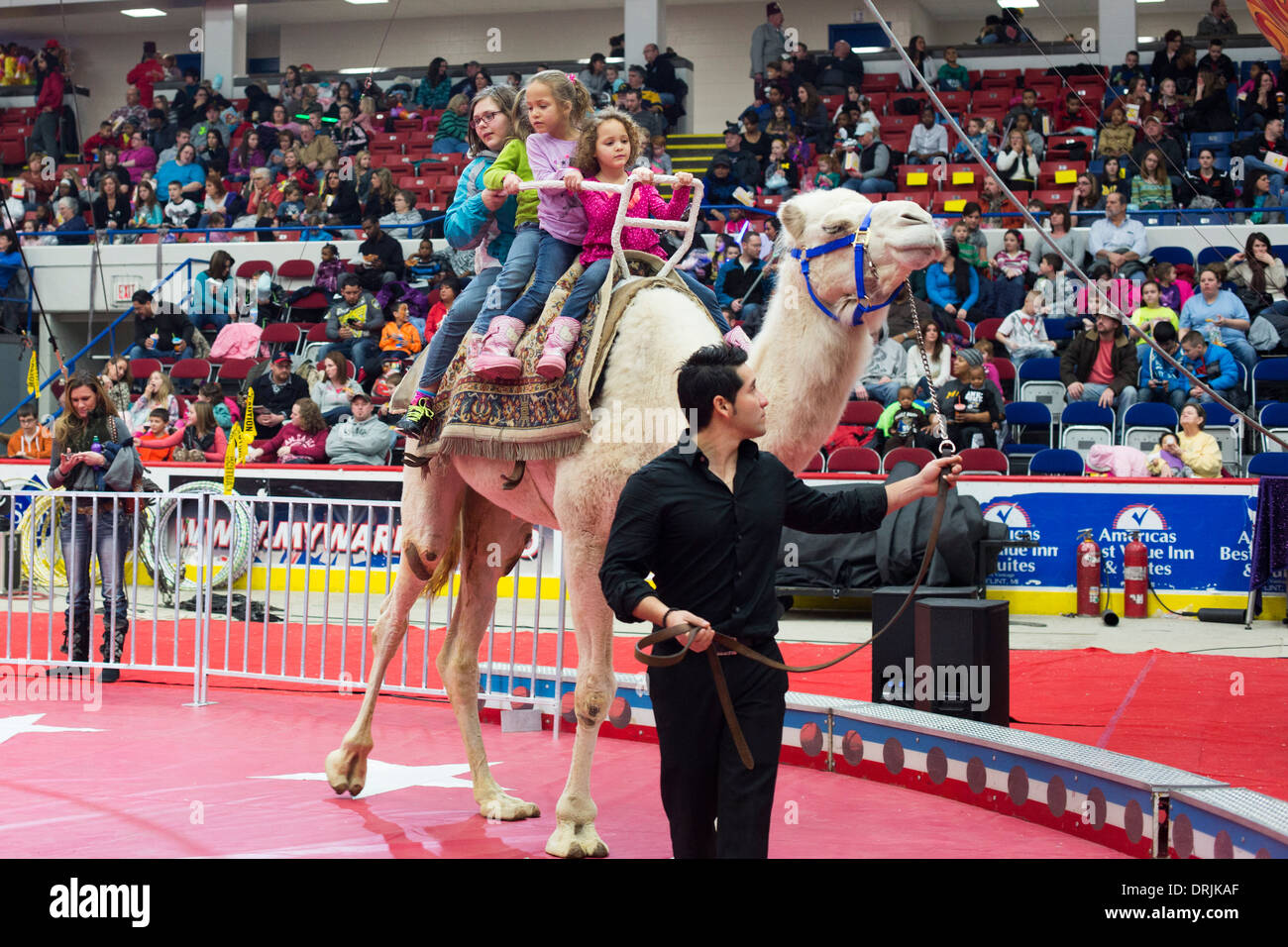 Selce, Michigan - Bambini cavalcare un cammello prima di una performance del circo del santuario. Foto Stock