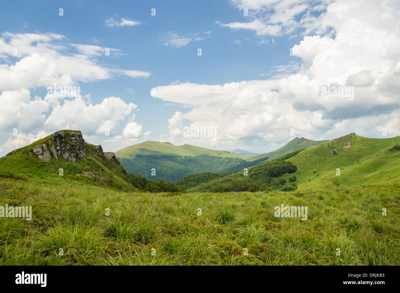 Valle Verde in monti Bieszczady Polonia Foto Stock