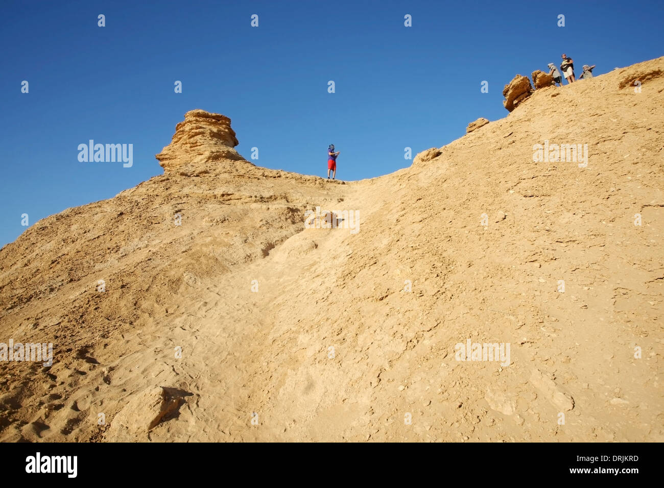 I turisti sulla parte superiore della testa di camel rock, una delle attrazioni turistiche in Ong Jemel, Tozeur,Tunisia. Foto Stock