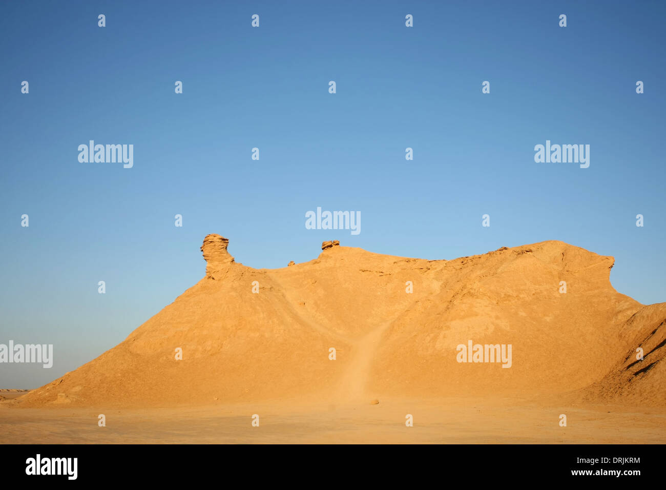 Testa di Camel rock, una delle attrazioni turistiche in Ong Jemel, Tozeur,Tunisia. Foto Stock