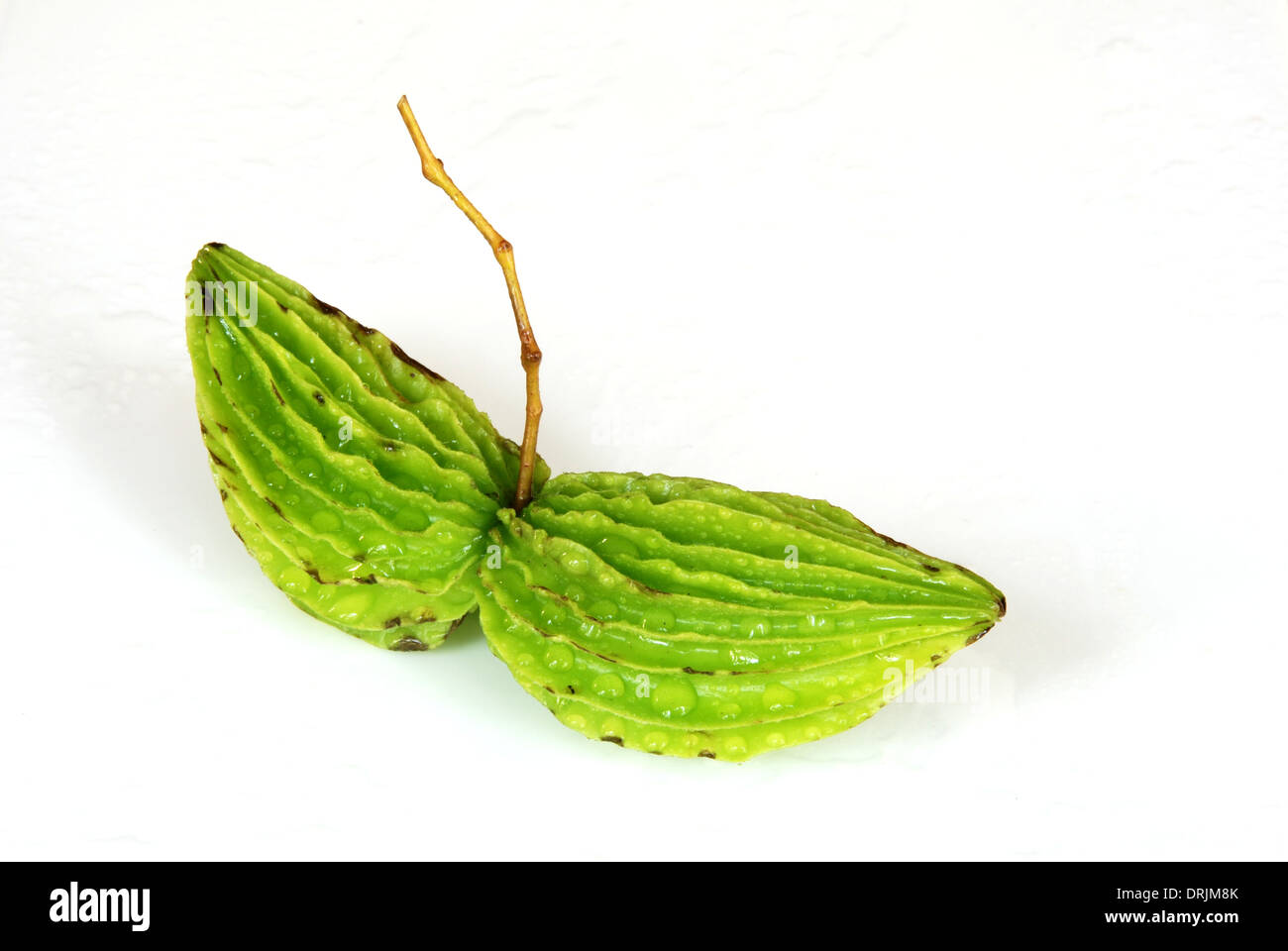 Liquorices frutta frutti sorprendenti dell Asia Foto Stock