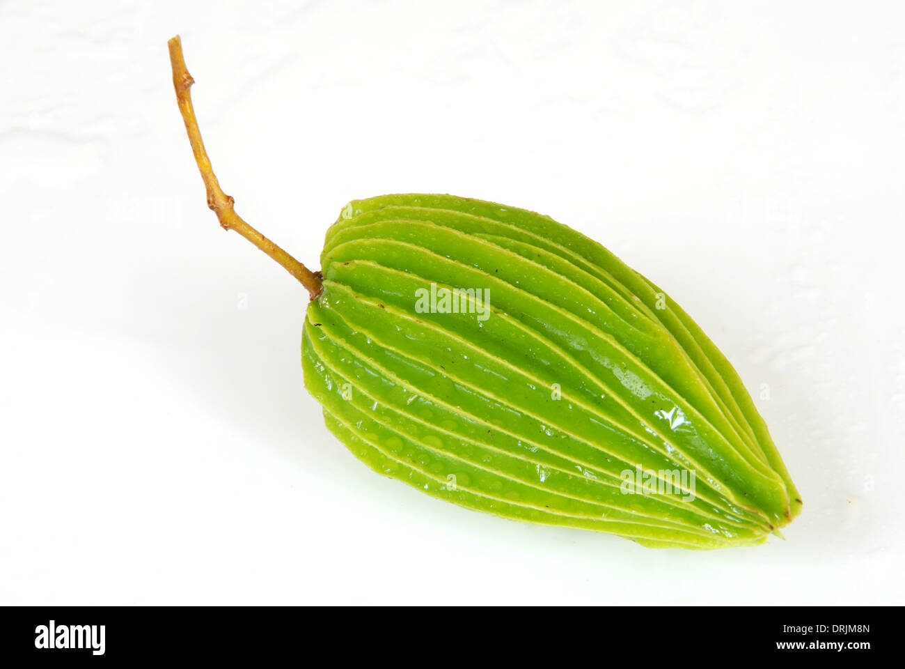 Liquorices frutta frutti sorprendenti dell Asia Foto Stock