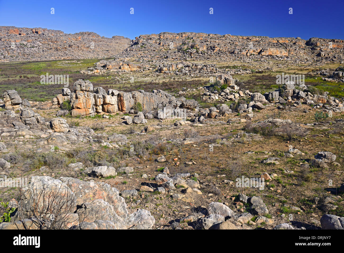 Guarda il paesaggio della montagna Ceder Wilderness area con Clanwilliam, west cape, Western Cape, Sud Africa, Africa, Blick in Foto Stock