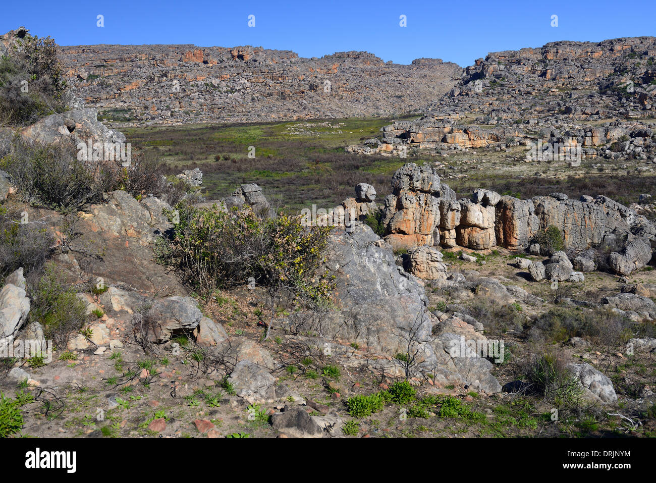 Guarda il paesaggio della montagna Ceder Wilderness area con Clanwilliam, west cape, Western Cape, Sud Africa, Africa, Blick in Foto Stock