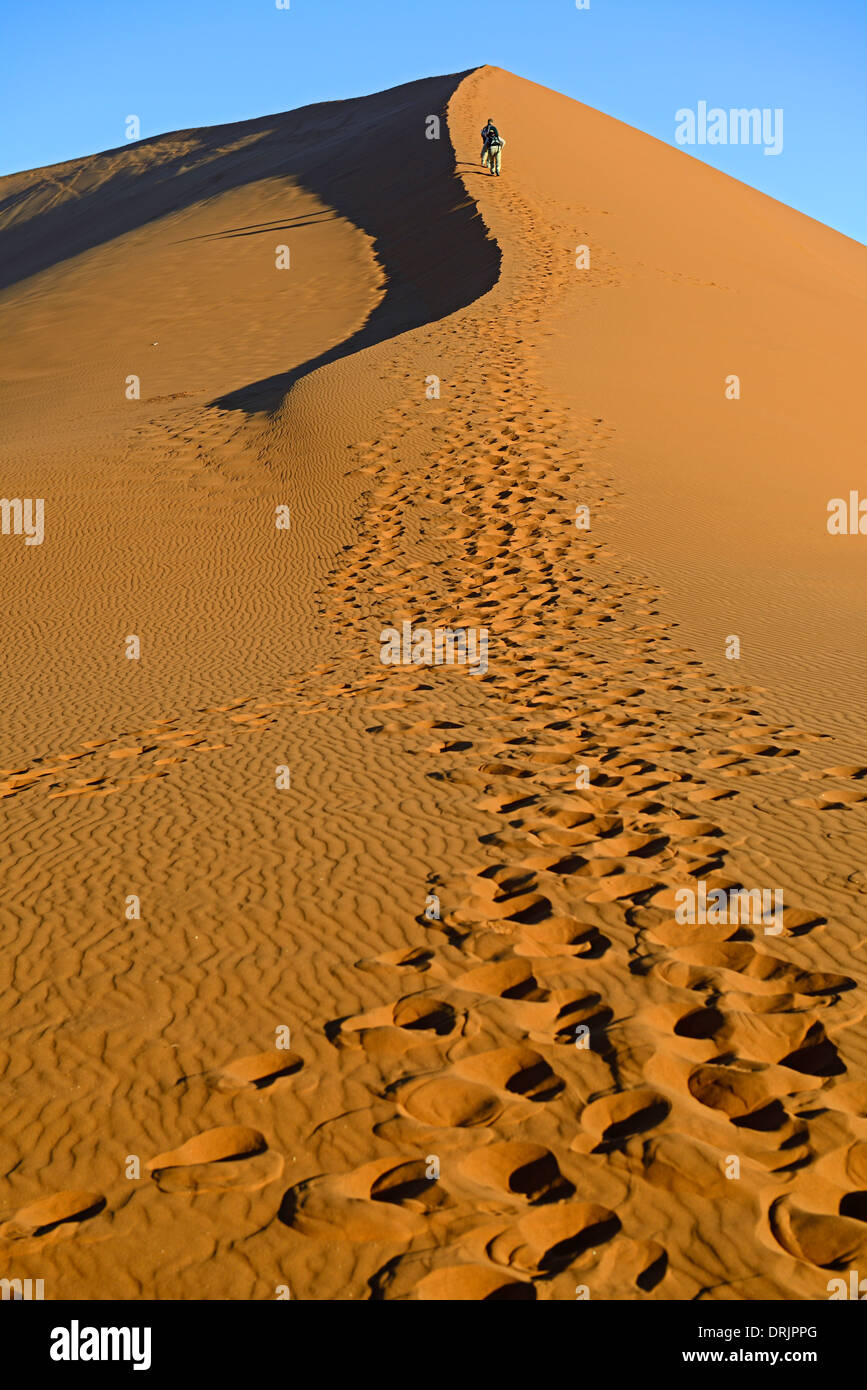 Le gigantesche dune di sabbia nell'ultima luce della sera, Namib Naukluft national park, Sossusvlei, Namibia, Africa, riesige Sandduenen im Foto Stock