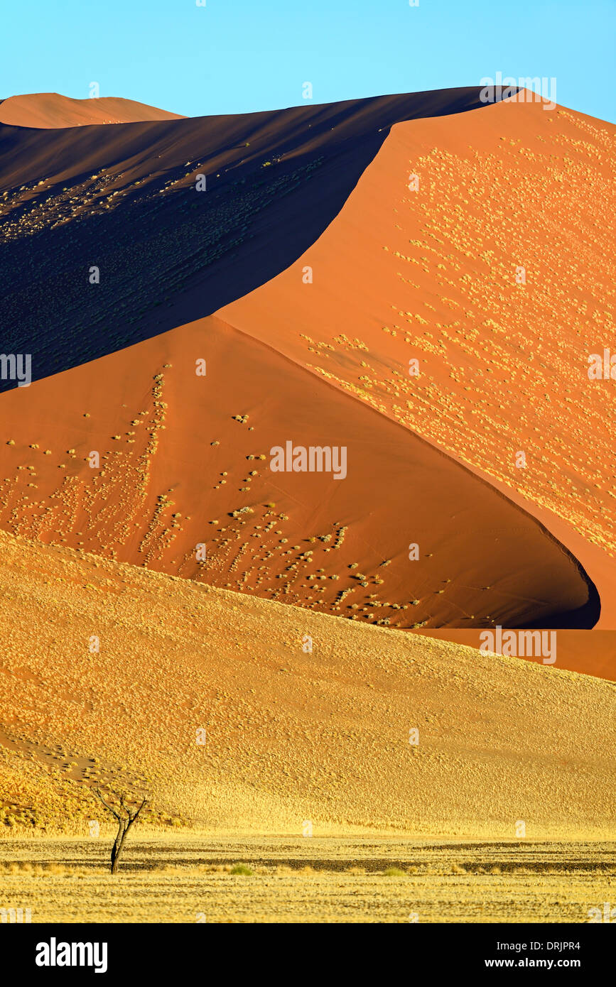 Le gigantesche dune di sabbia nell'ultima luce della sera, Namib Naukluft national park, Sossusvlei, Namibia, Africa, riesige Sandduenen im Foto Stock