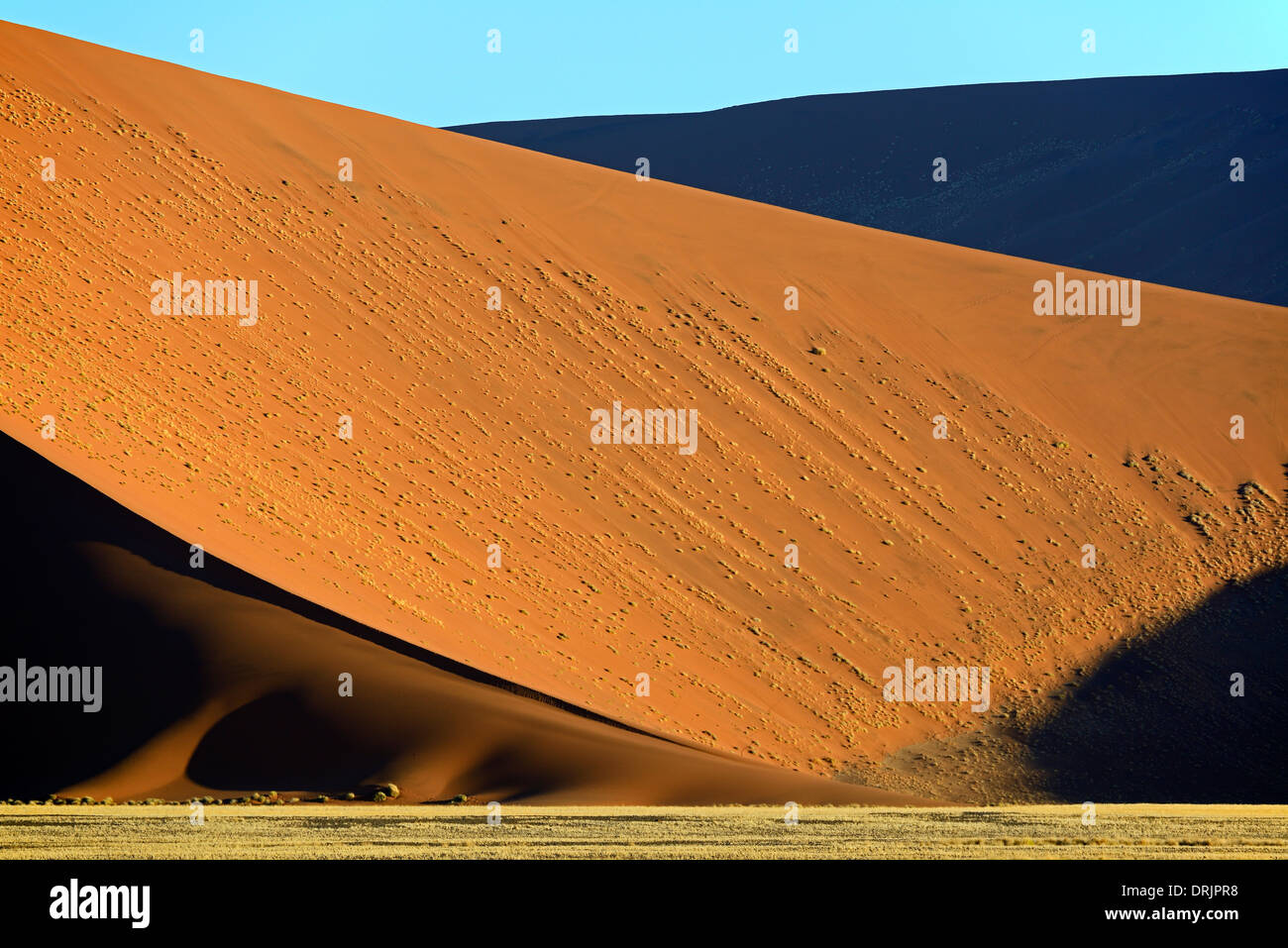 Le gigantesche dune di sabbia nell'ultima luce della sera, Namib Naukluft national park, Sossusvlei, Namibia, Africa, riesige Sandduenen im Foto Stock