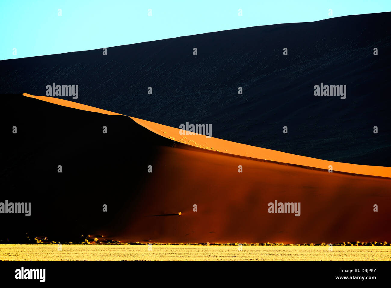 Le gigantesche dune di sabbia nell'ultima luce della sera, Namib Naukluft national park, Sossusvlei, Namibia, Africa, riesige Sandduenen im Foto Stock