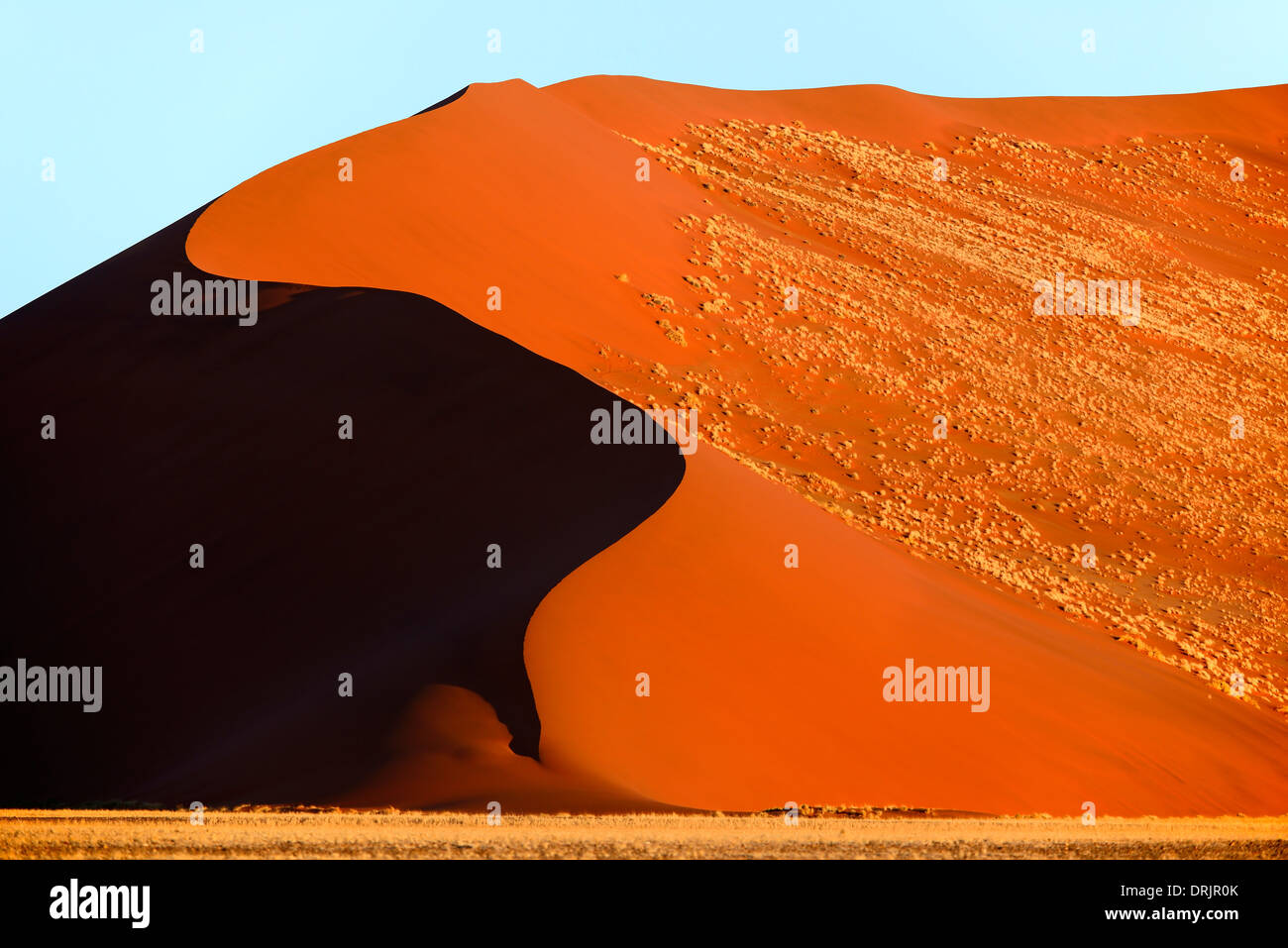 Le gigantesche dune di sabbia nell'ultima luce della sera, Namib Naukluft national park, Sossusvlei, Namibia, Africa, riesige Sandduenen im Foto Stock