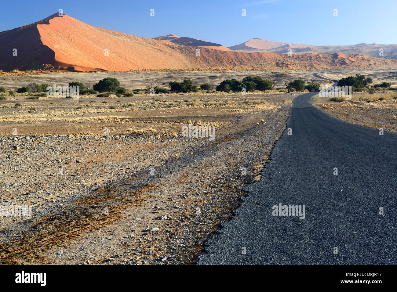 Strada per il Namib Naukluft national park, Sossusvlei, Namibia, Africa, Strasse durch den Namib Naukluft Nationalpark, Afrika Foto Stock