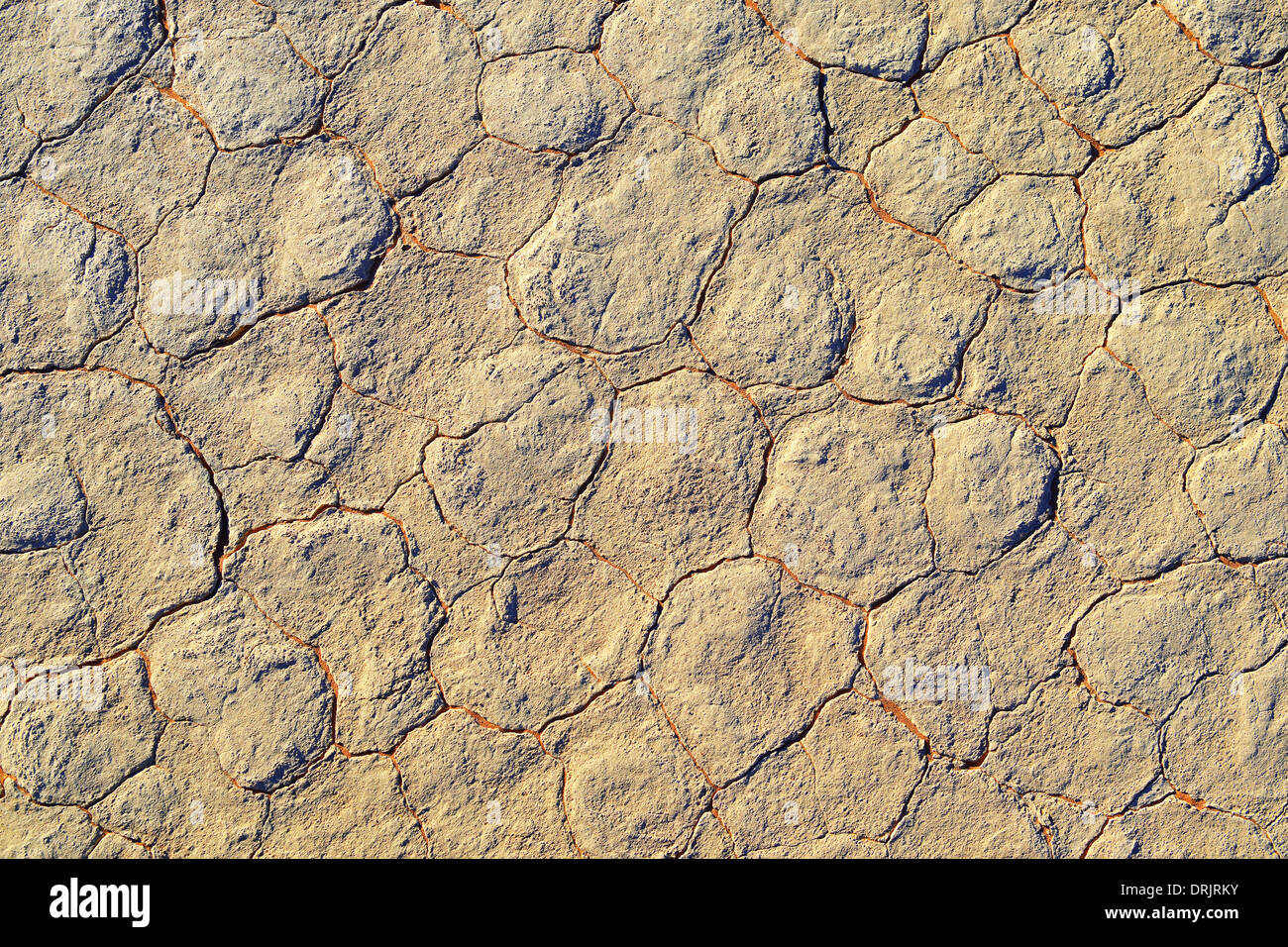 Mucky massa del Deadvlei, Dead Vlei nella mattina del Namib Naukluft national park, Sossusvlei, Namibia, Africa, Lehmbod Foto Stock