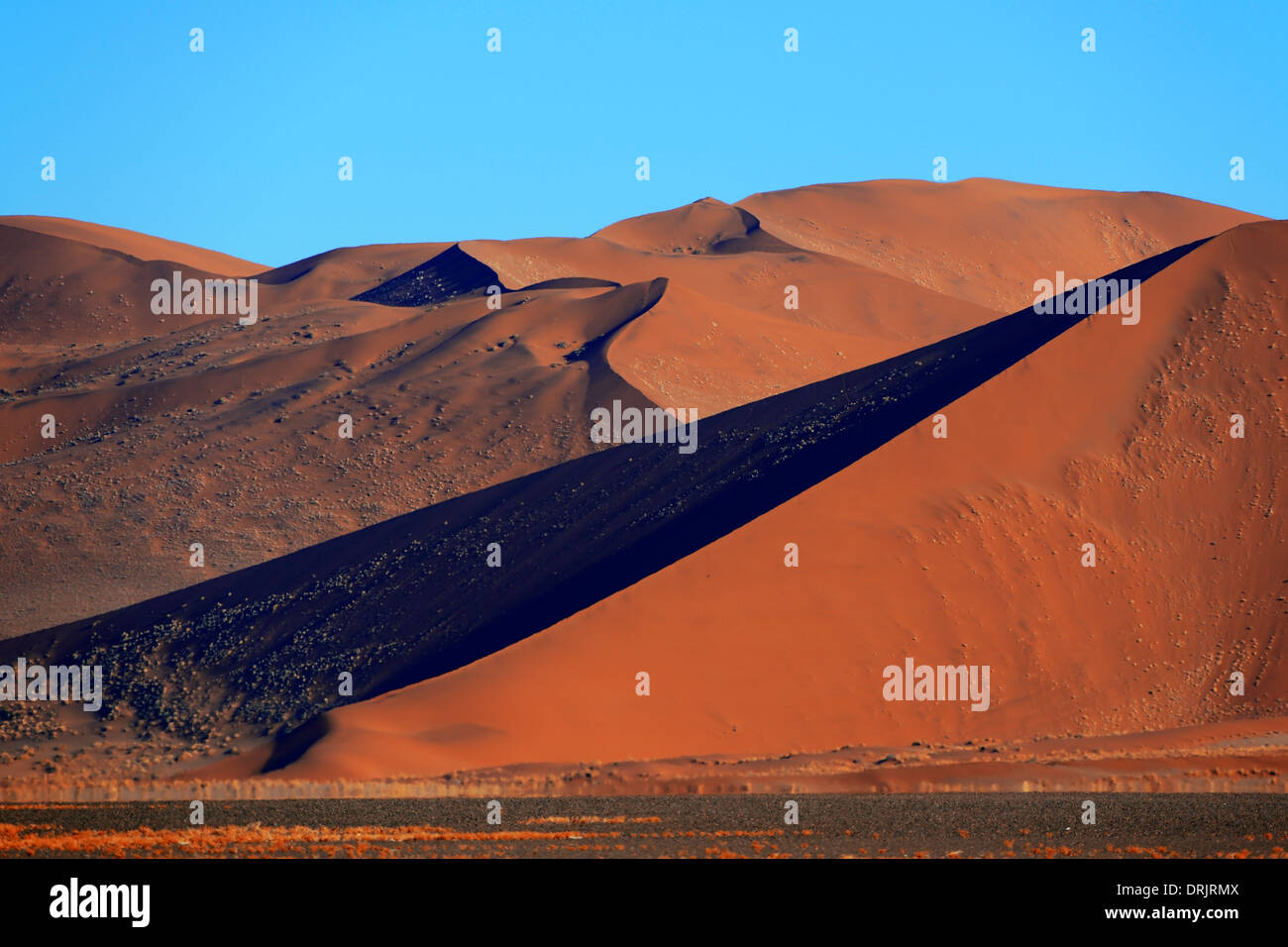 Le gigantesche dune di sabbia nella prima luce del mattino, Namib Naukluft national park, Sossusvlei, Namibia, Africa, riesige Sandduenen ho Foto Stock