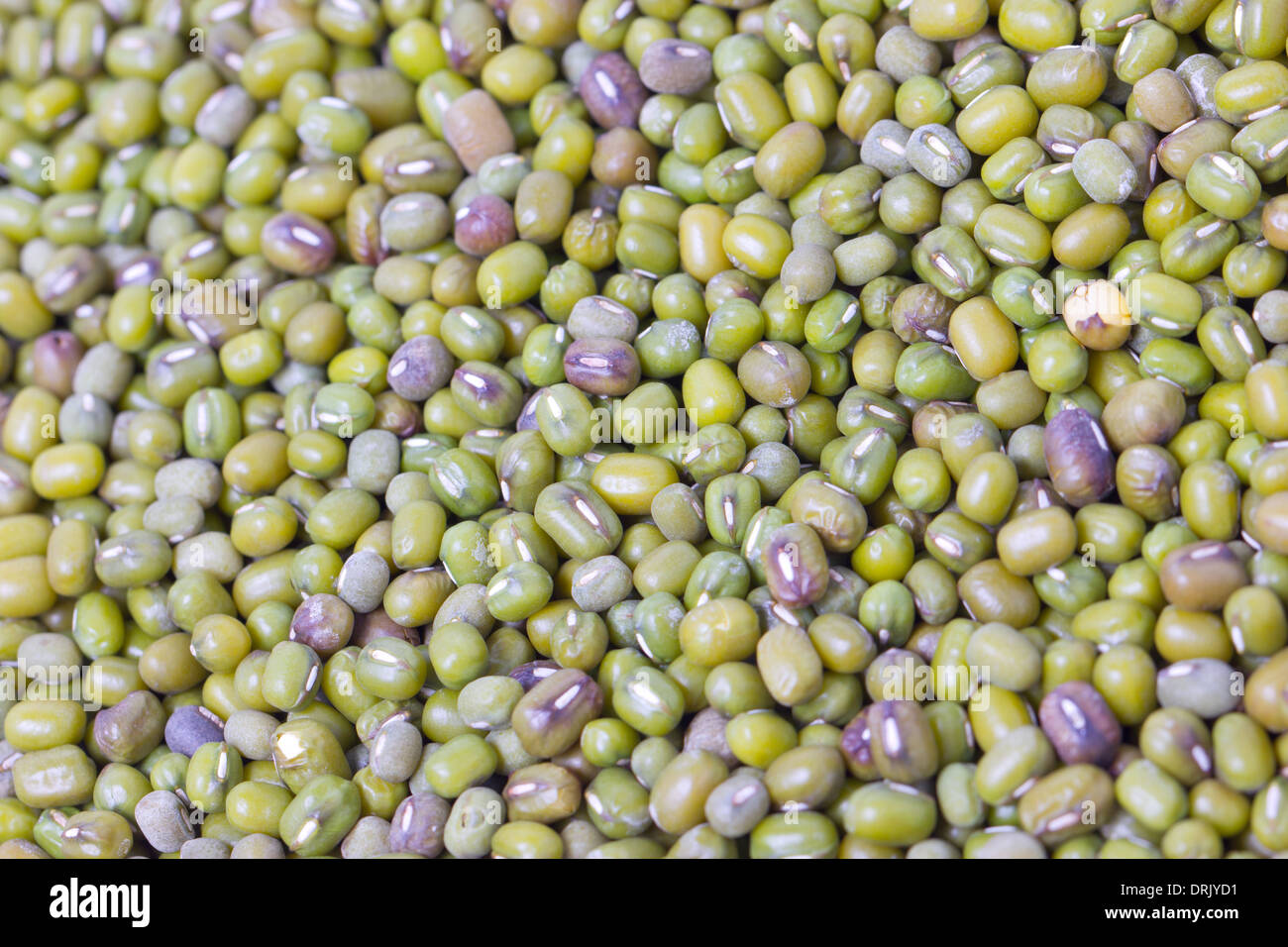 Green Mung Bean sfondo texture. Foto Stock