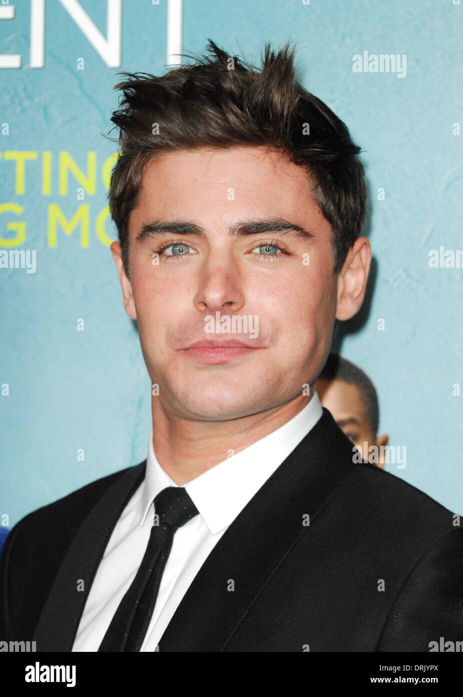 Los Angeles, CA, Stati Uniti d'America. 27 gennaio, 2014. Zac Effron presso gli arrivi per quel momento inopportuno Premiere, Regal Cinemas LA LIVE Stadium 14, Los Angeles, CA. 27 gennaio 2014. Credito: Elizabeth Goodenough/Everett raccolta/Alamy Live News Foto Stock