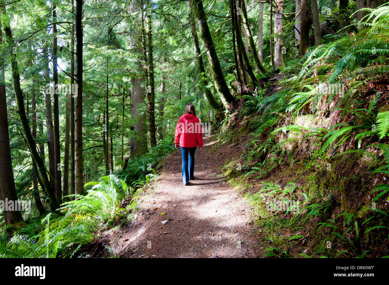 Donna trekking sul sentiero forestale in Oregon Coast intervallo vicino Tillamook (MR) Foto Stock
