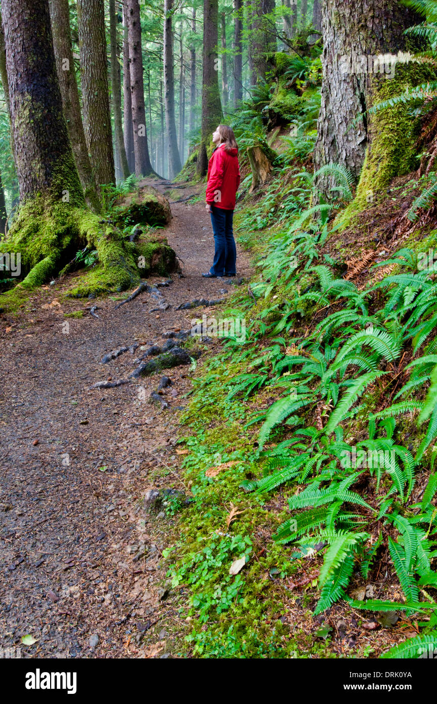 Donna che indossa un cappotto rosso in piedi su un sentiero in Oregon Coast Range a sud di Tillamook (MR) Foto Stock