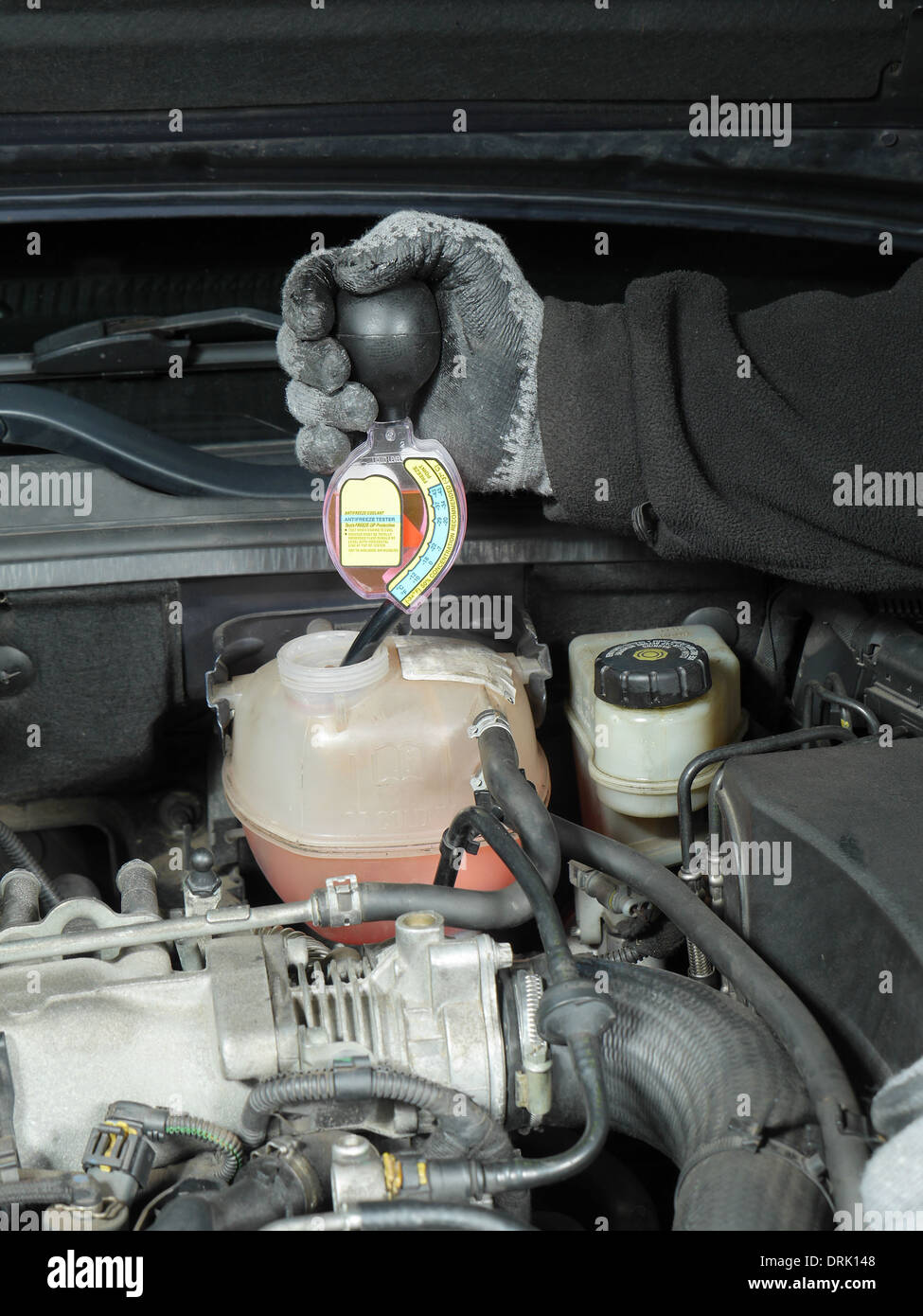 Meccanico automatico esecuzione di antigelo nel liquido di raffreddamento freeze-up test di protezione utilizzando un tester Foto Stock