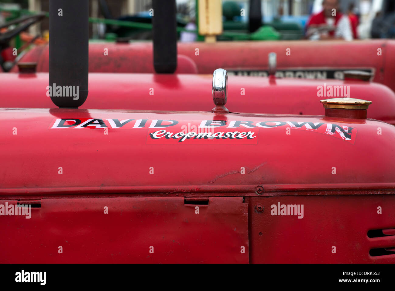 Line-up di David Brown trattori d'epoca in un paese equo nel Regno Unito Foto Stock