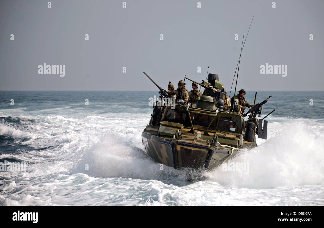 US Navy commandos fluviale durante un esercizio di formazione nel Golfo Arabico Gennaio 21, 2014 in Bahrein. Foto Stock