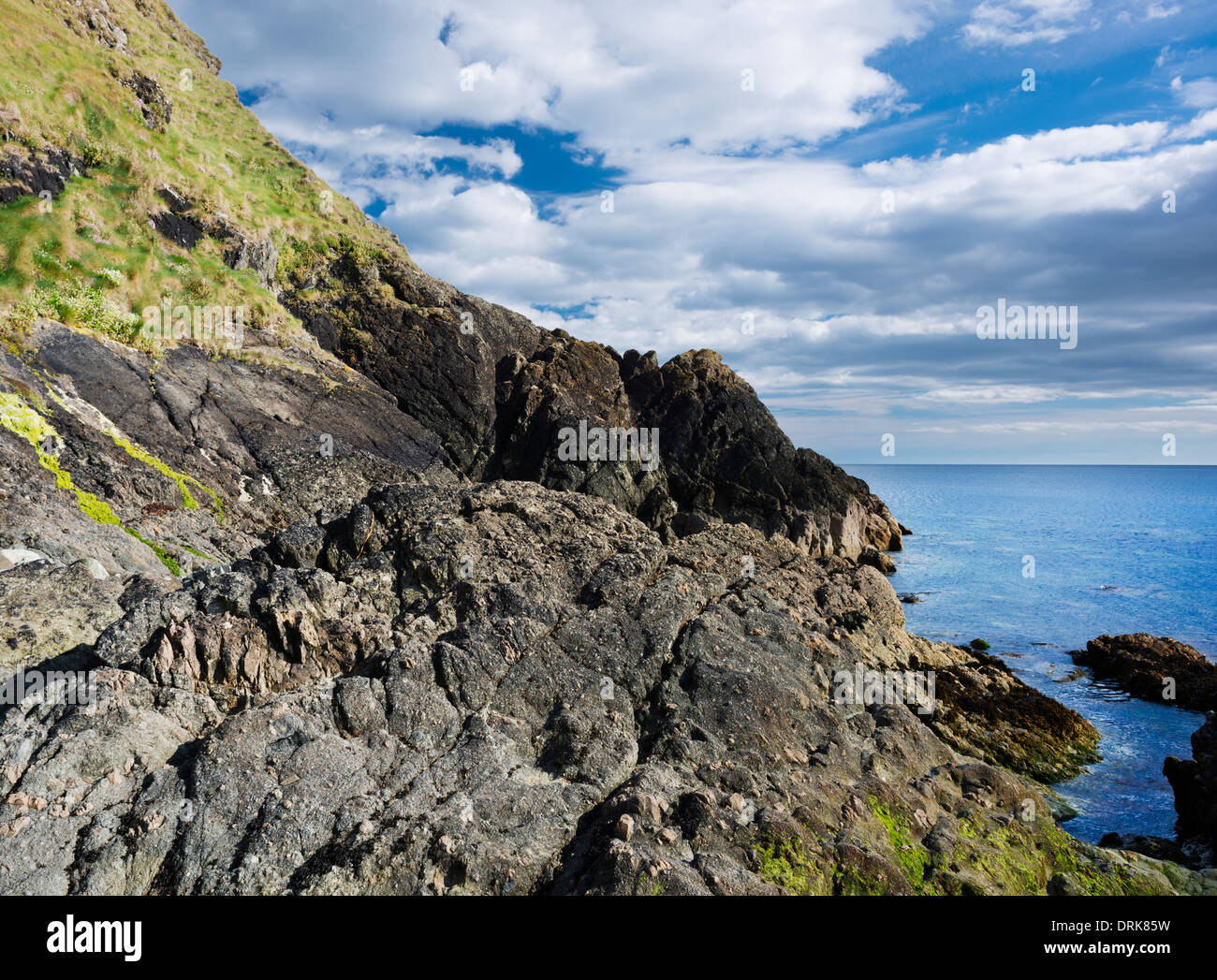 Ordovician rocce vulcaniche esposti alla spiaggia Garrarus, rame Coast Geopark, nella contea di Waterford, Irlanda Foto Stock