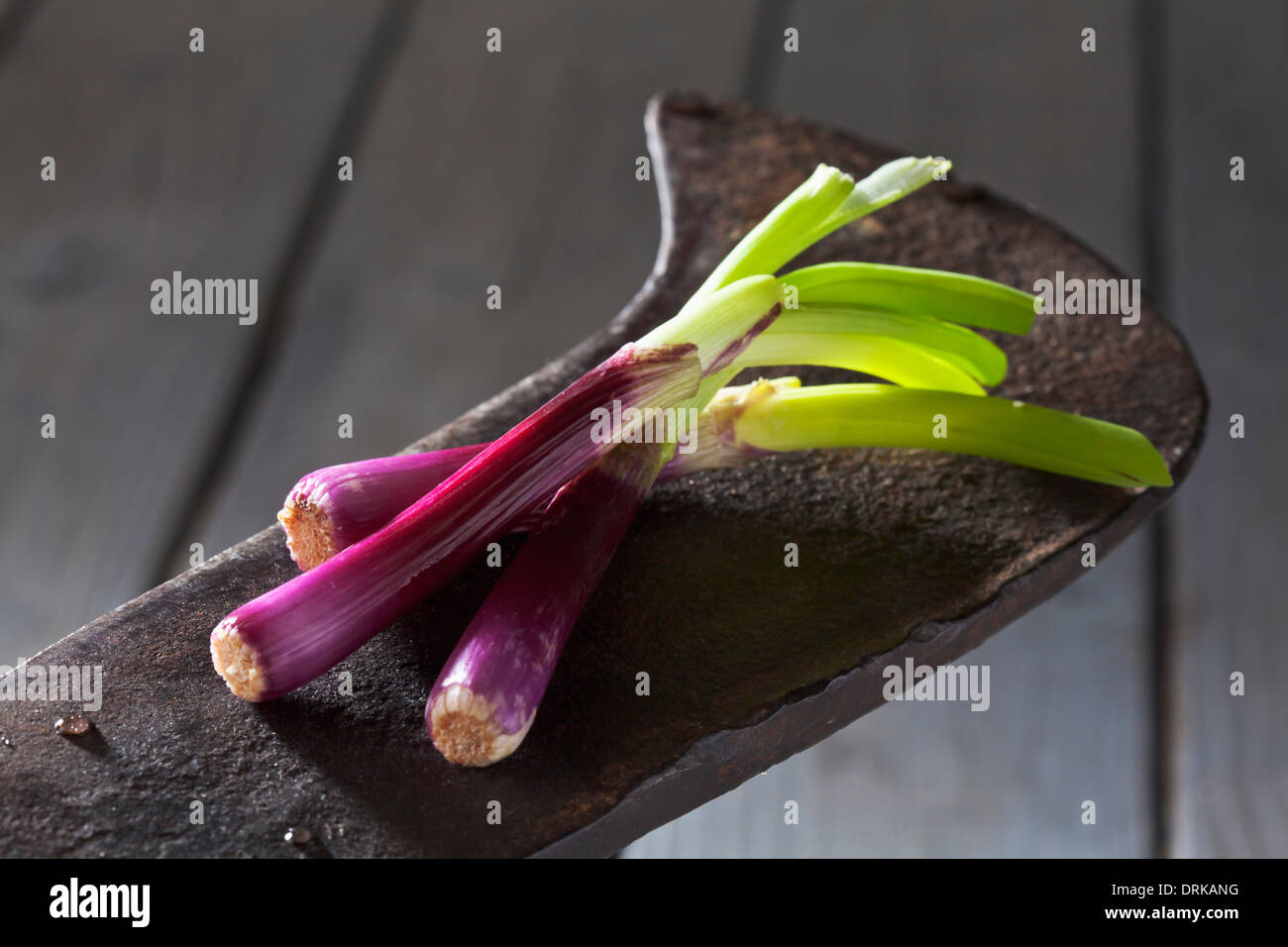 Colorate le cipolle di primavera sulla lama di antichi lama per tritare Foto Stock