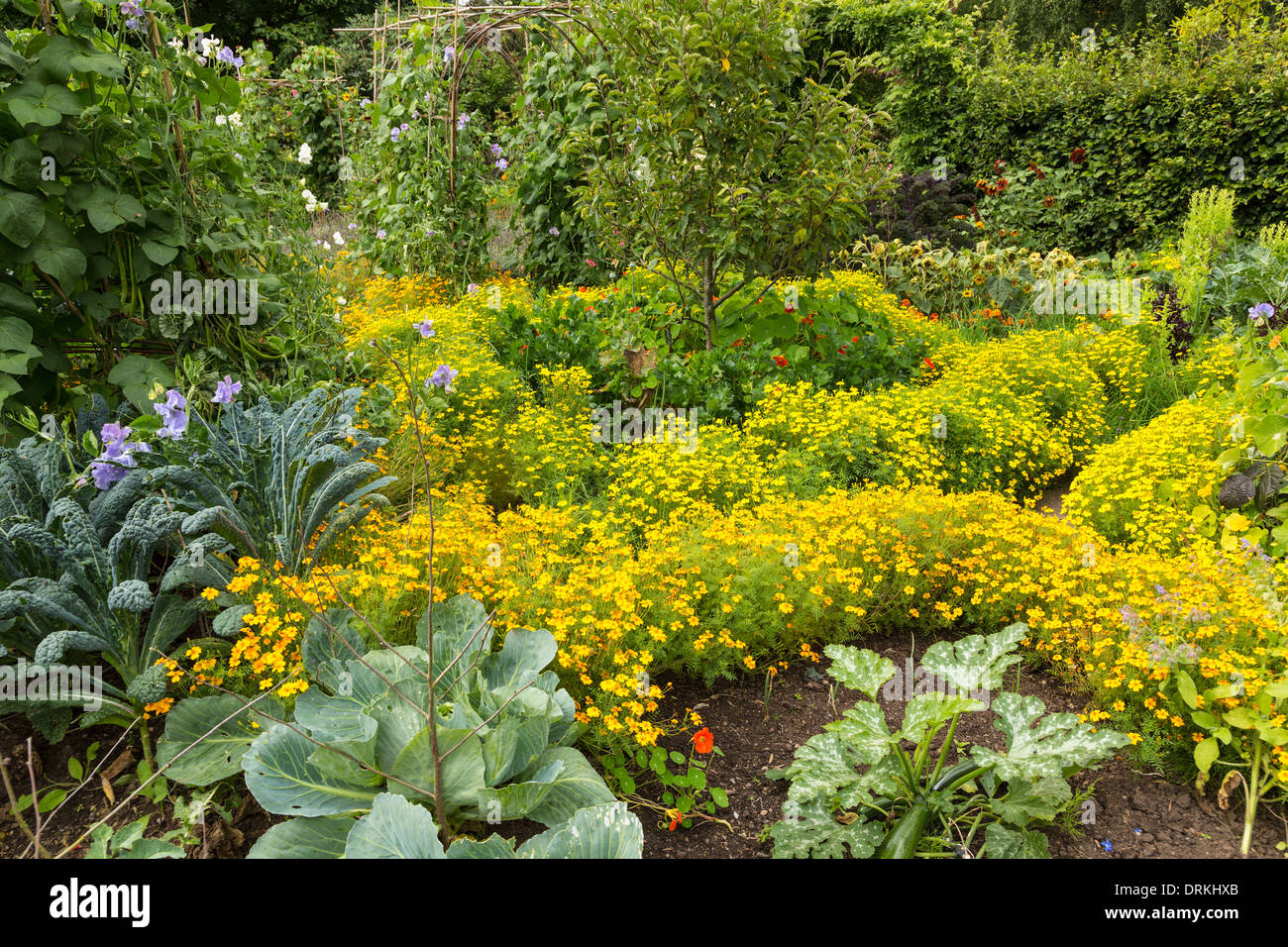 Potager, vegetali e giardino fiorito, Inghilterra Foto Stock