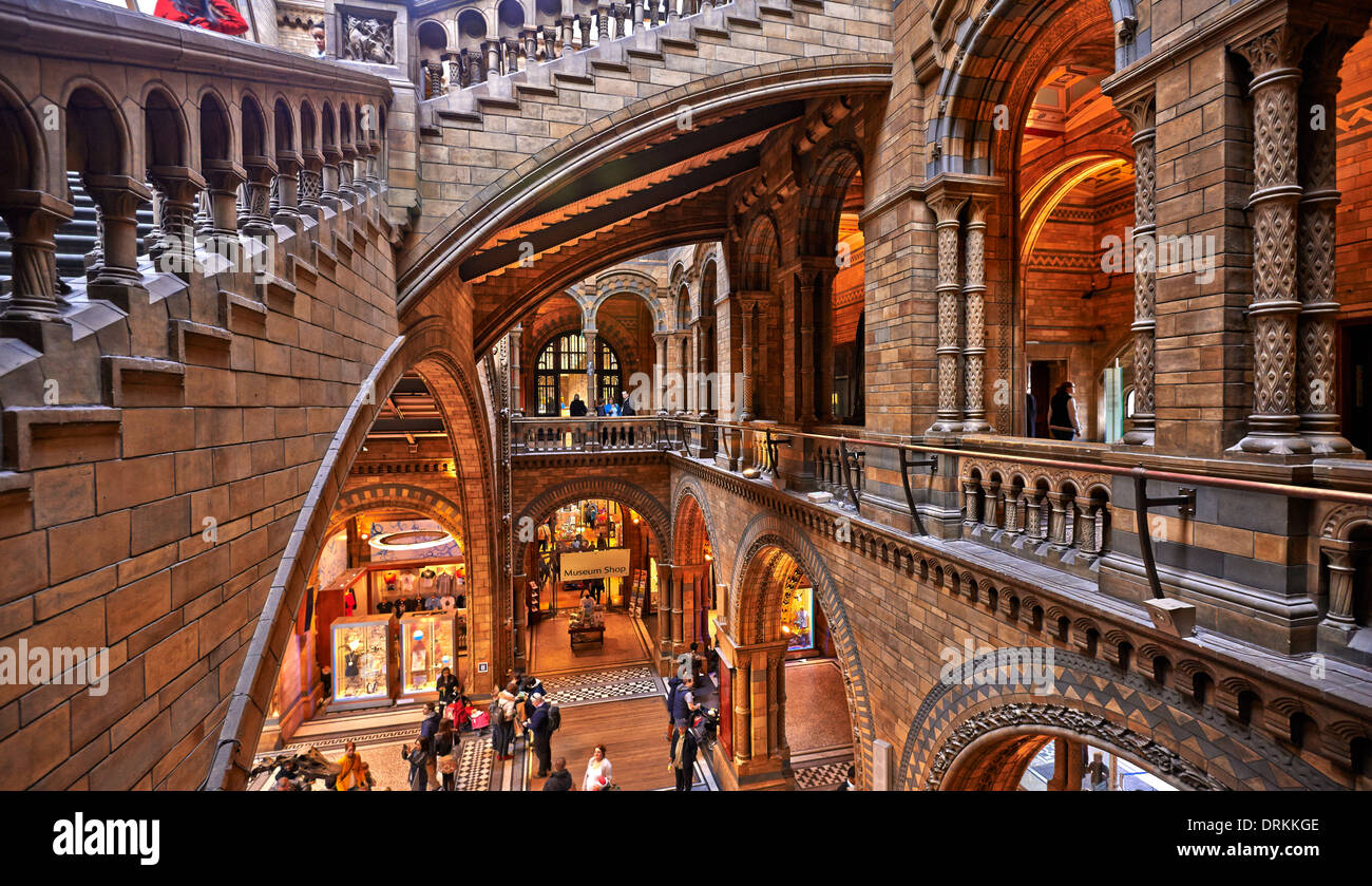 Il Museo di Storia Naturale è uno dei tre grandi musei in Exhibition Road, South Kensington, Londra, Inghilterra Foto Stock