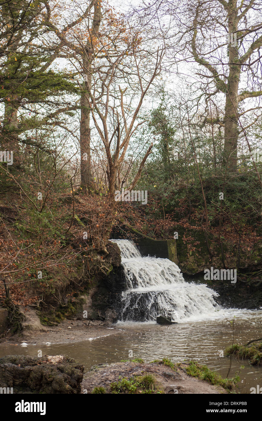 La cascata nel bosco Foto Stock