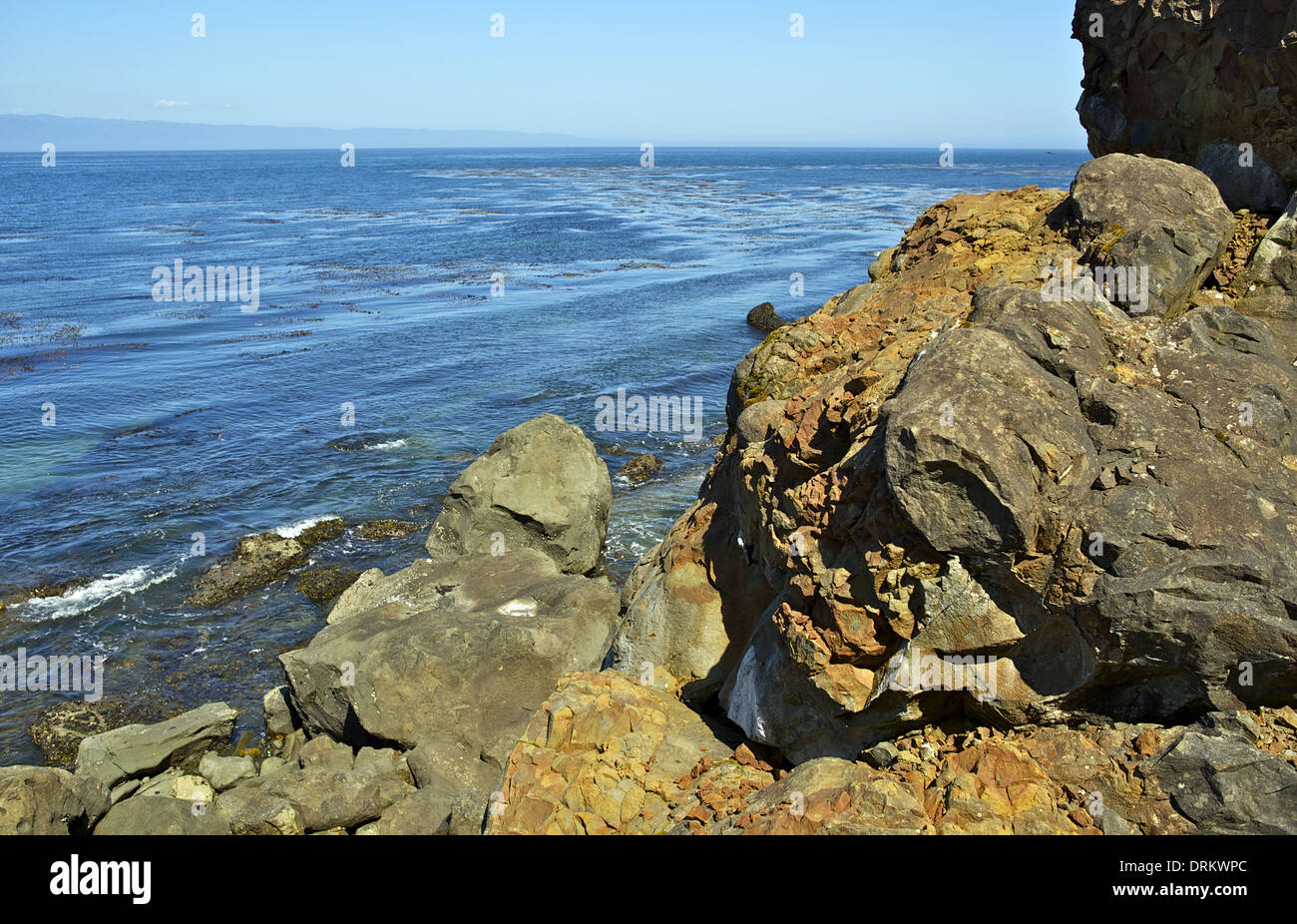 Stretto di Juan de Fuca nello Stato di Washington, USA. Spiaggia rocciosa. Foto Stock