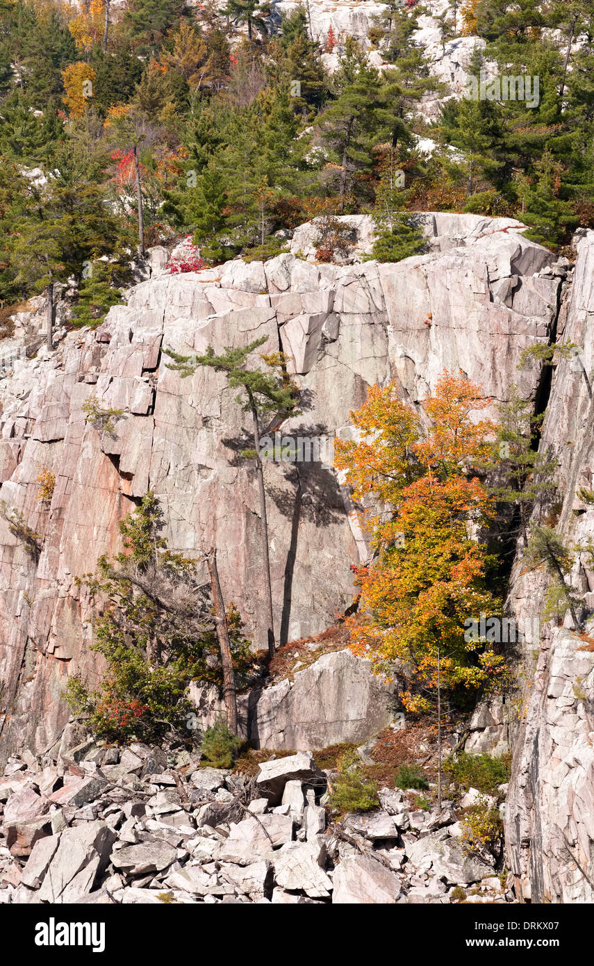 Autunno a colori e quarzite bianca rupe di roccia, Killarney Provincial Park, Ontario, Canada. Foto Stock