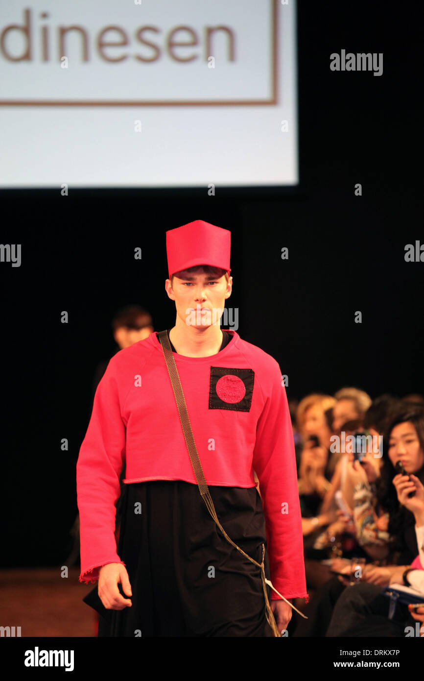 Copenaghen, Danimarca. 28 gen 2014. Un modello presenta una creazione del designer danese Mads Dinesen durante l' Anno Nuovo Cinese' fashion show di Copenhagen, Danimarca, Gennaio 28, 2014. Credito: Wu Bo/Xinhua/Alamy Live News Foto Stock