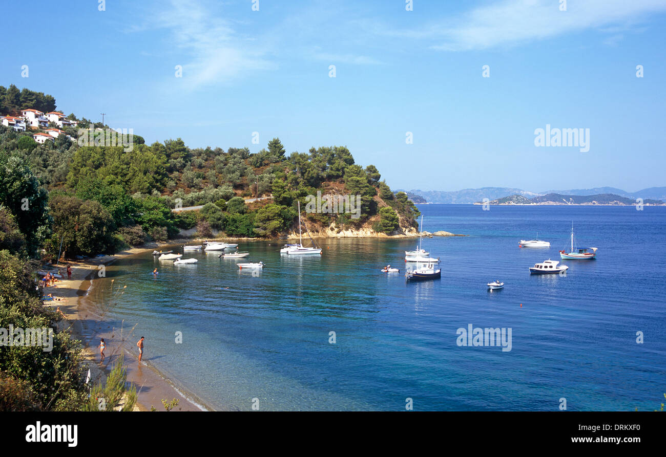 Spiaggia Nostas Skiathos isole Greche - Grecia Foto Stock
